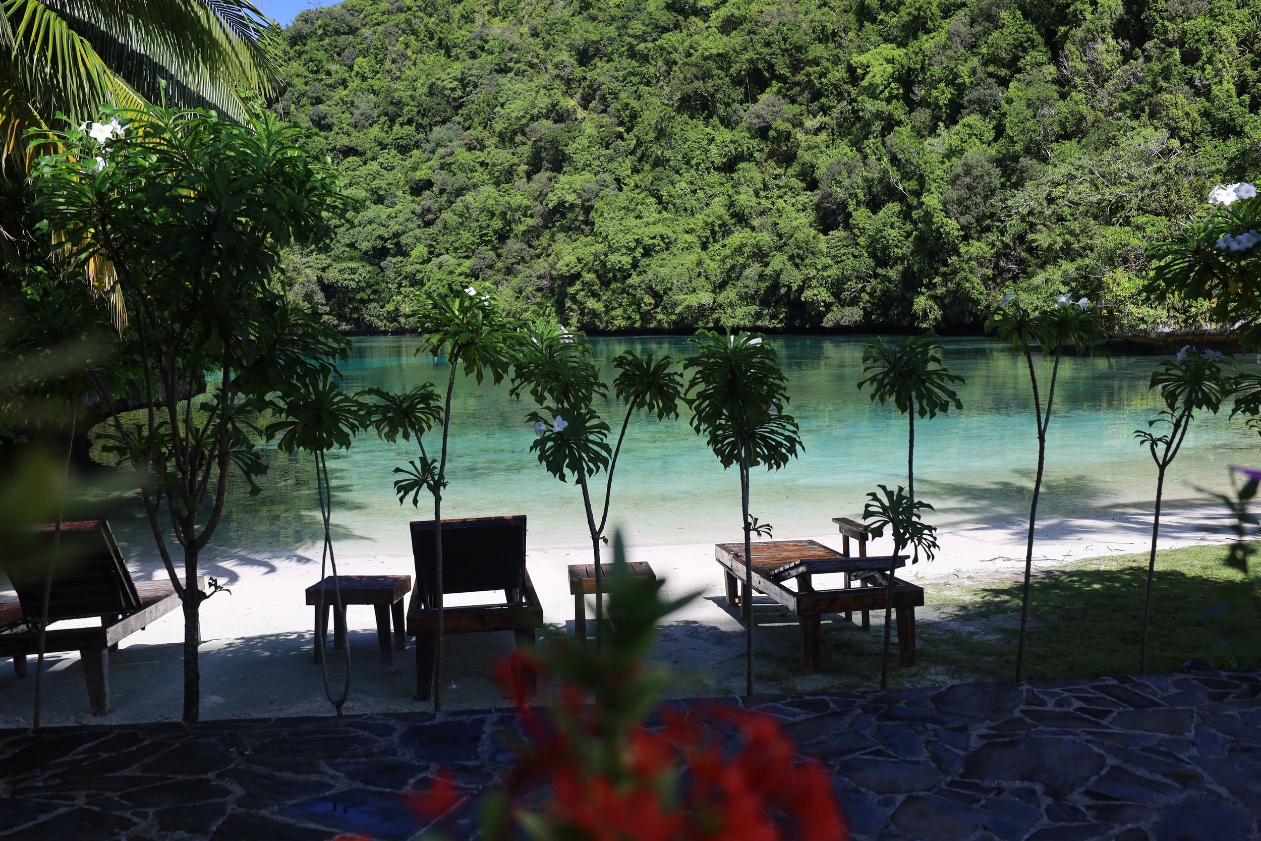 Sea Passion beach in Palau