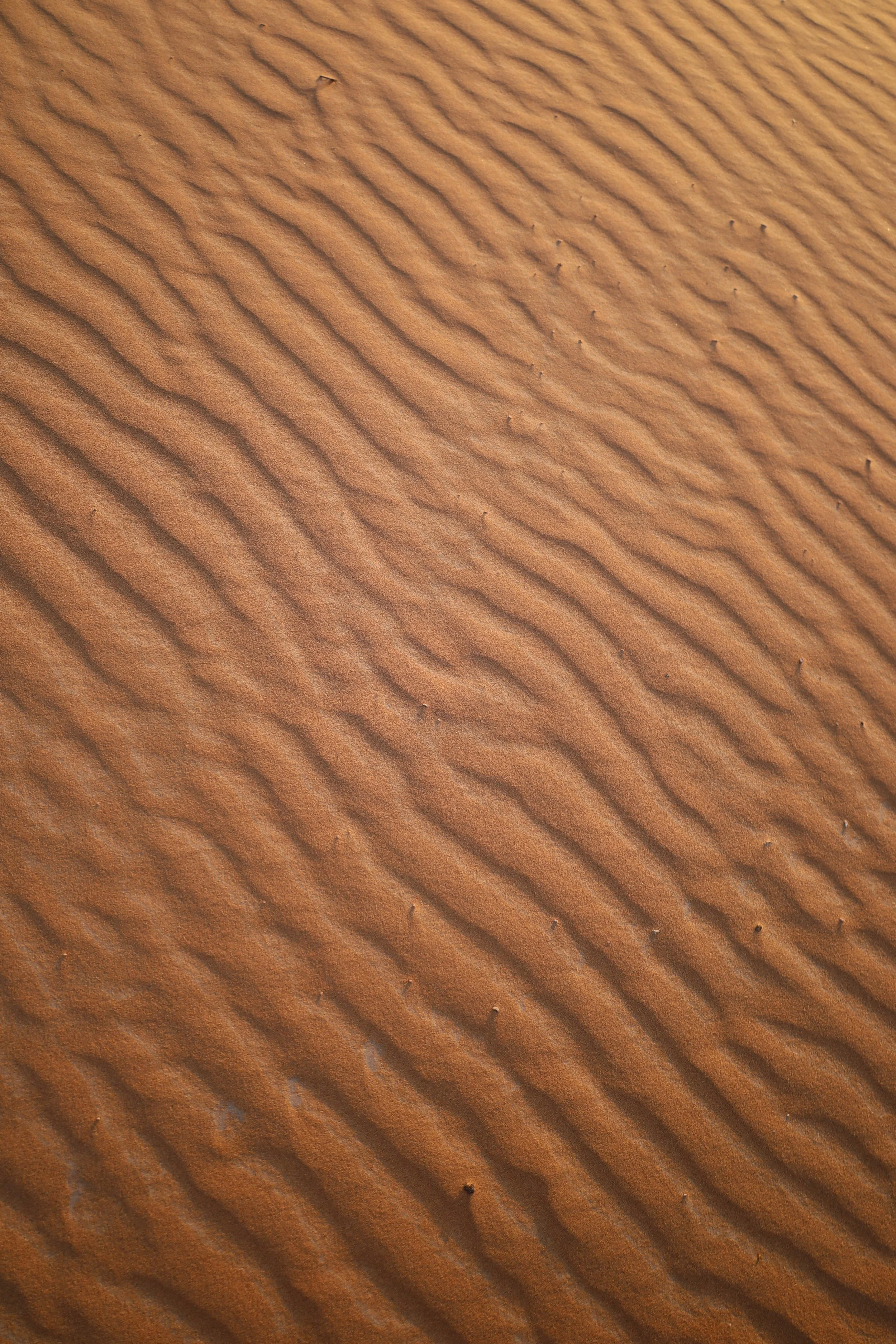 Sands of the Sahara Desert, Morocco