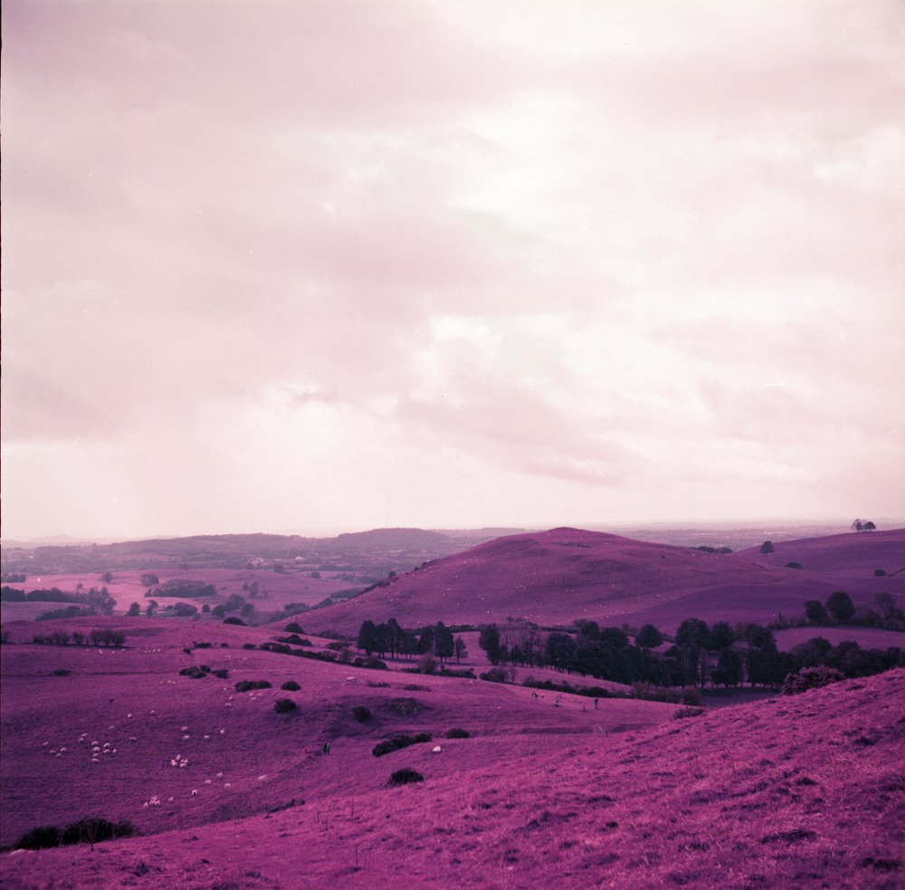 Loughcrew Lomo 6.jpg