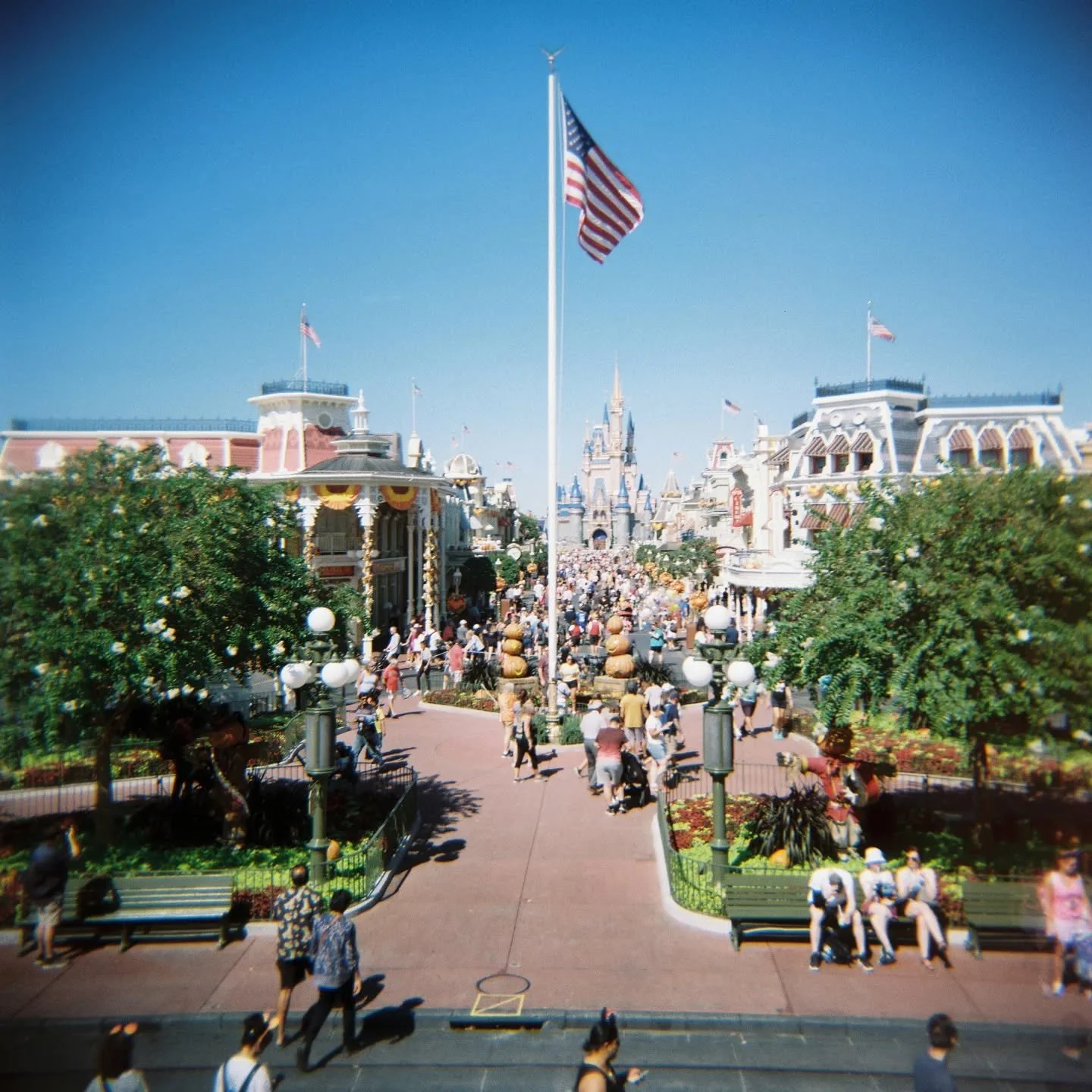 Magic Kingdom on the Holga 120CFN.

#disneyworld #disneythemeparks #magickigdom #holga120cfn #holga #holidayphotography #thedailyholga #disneyadult #mediumformat #filmcommunity #sheshootsfilm #filmphotography #kodakgold200 #shotonkodak
