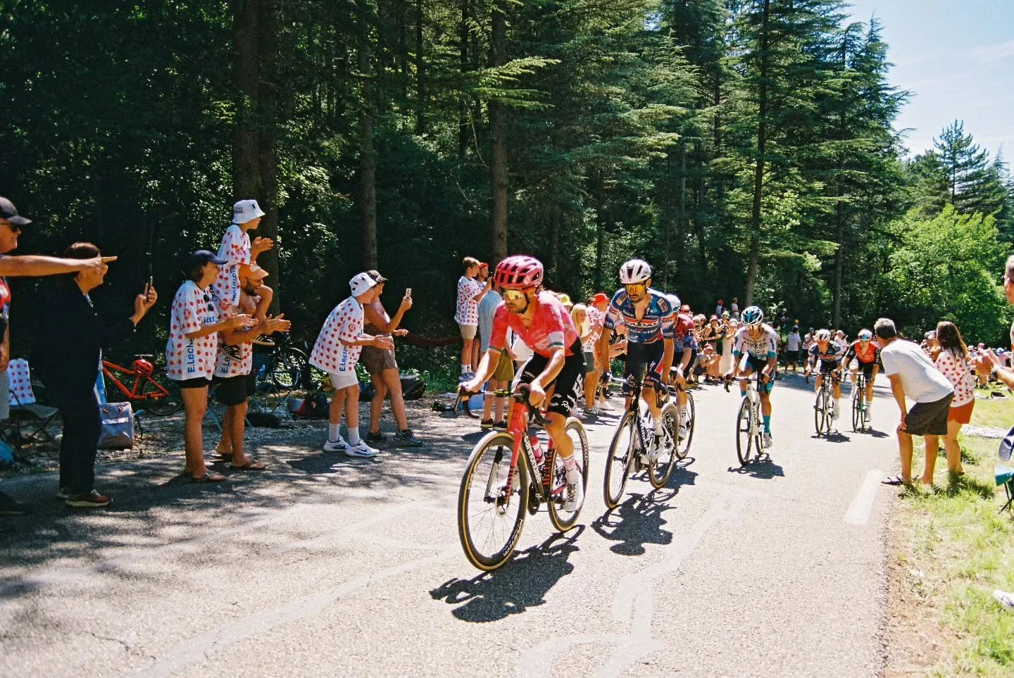 Ben Healy on Mont Ventoux during the Tour de France 2025. Shot on my Nikon F80. 

Finally got around to writing up a blog post on taking the F80 to the Tour. Link in Bio. 

#tourdefrance #lagrandeboucle #cyclingphotography #filmphotography #nikonf80 