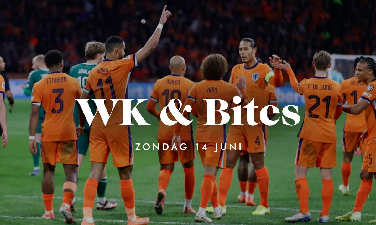 WK Voetbal Nederland - Zweden