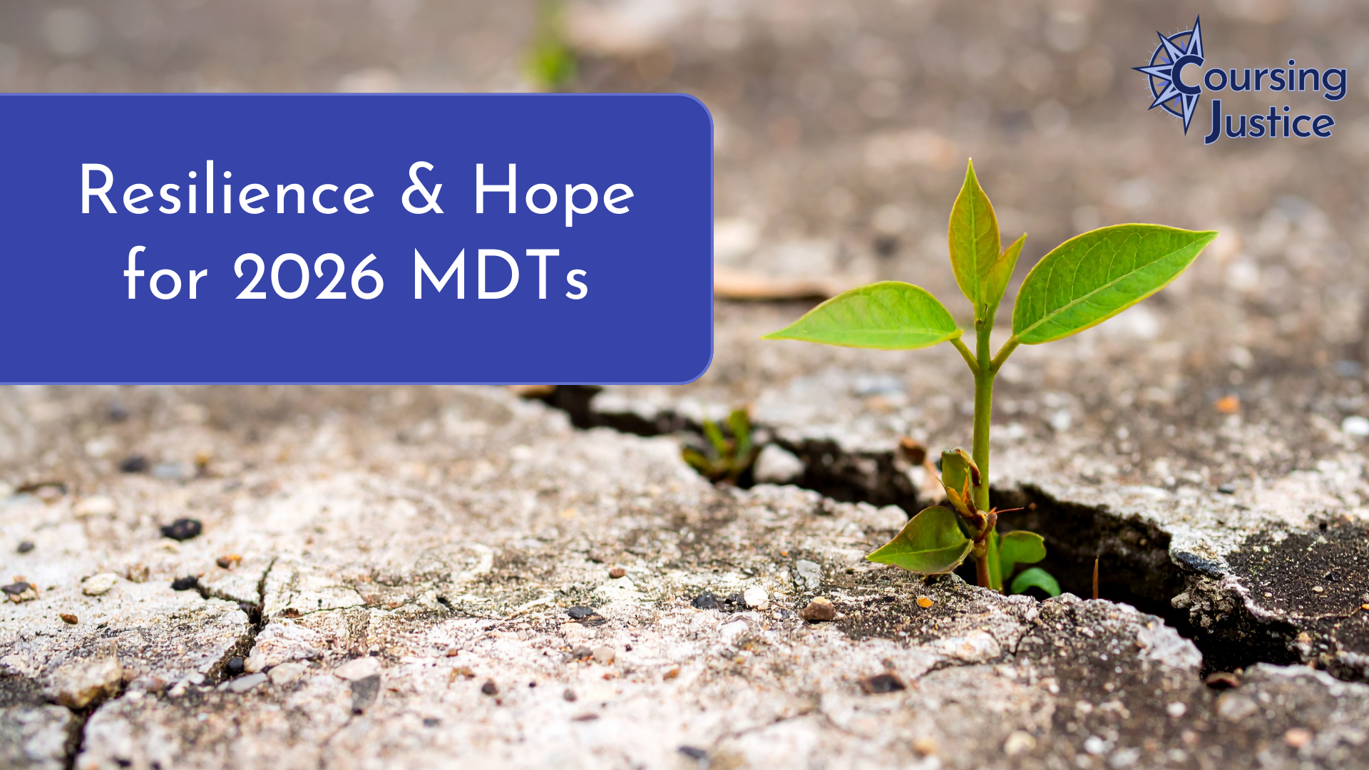 Resilience &amp; Hope for 2026 MDTs