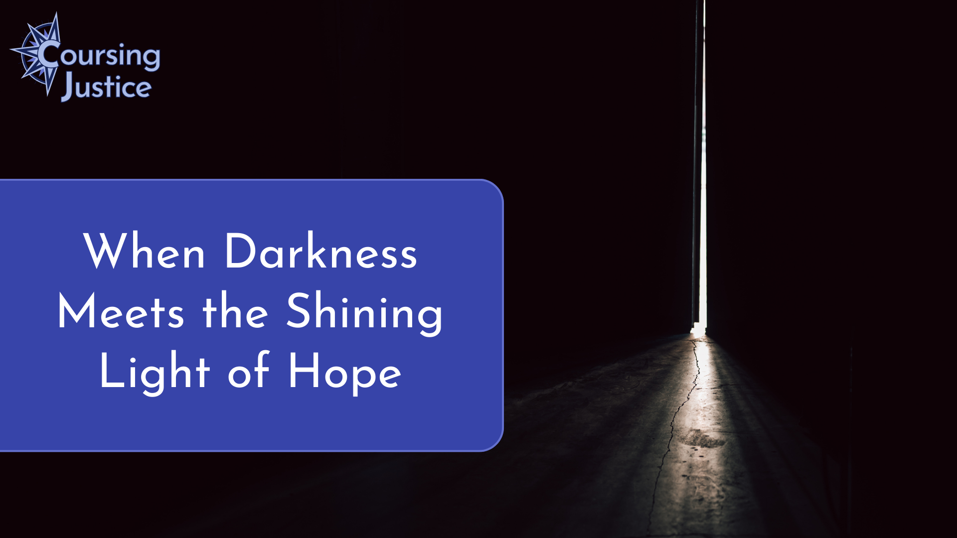 When Darkness Meets The Shining Light of Hope: A Survivor's Perspective on MDT Investigations