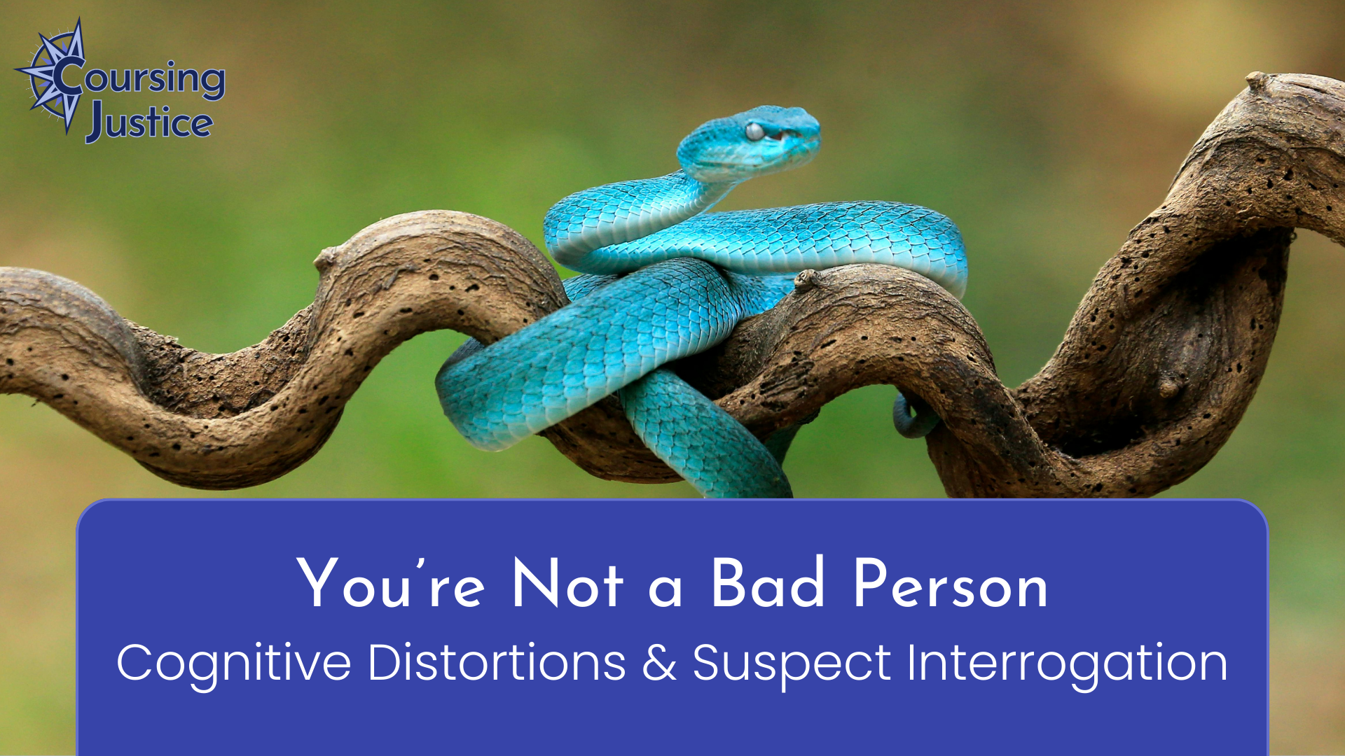 Title slide for workshop titled "You’re Not a Bad Person: Cognitive Distortions and Suspect Interrogation"