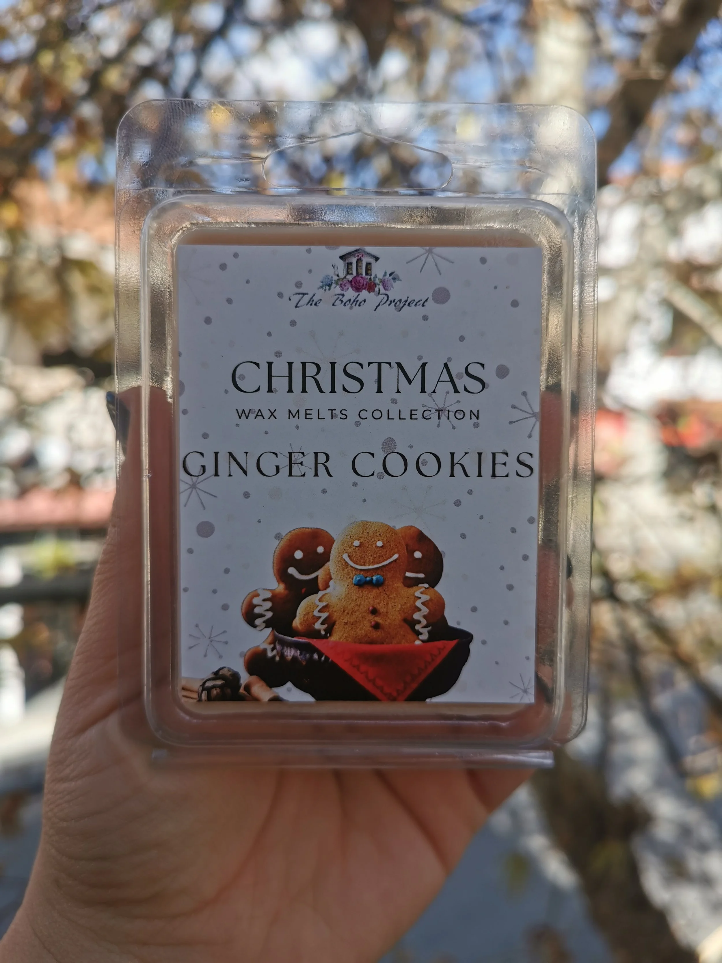 IMG_20241121_122751.jpg