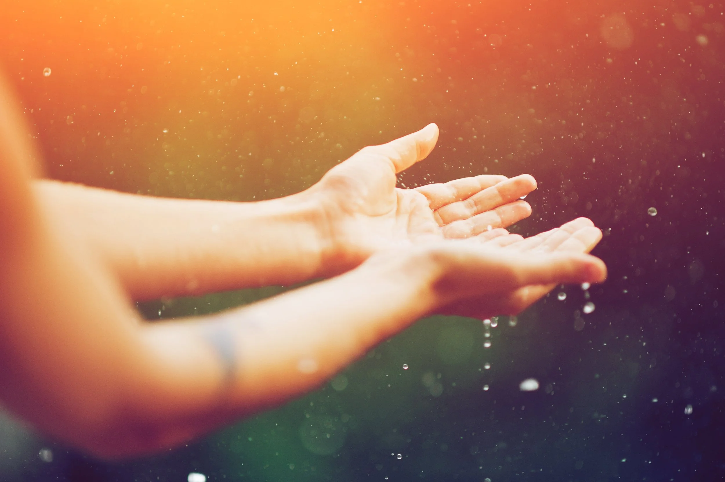 shutterstock-hands-receiving-rain_1278567226.jpg