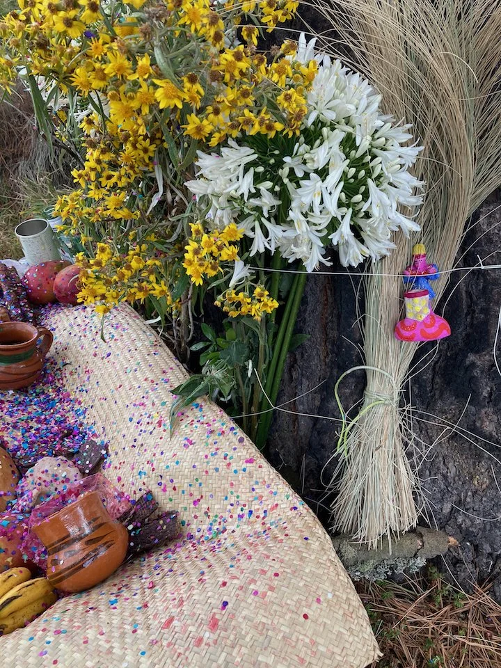 20260505-Mexico-spring-ceremonies-altar-seeds-of-tradition-small.jpeg