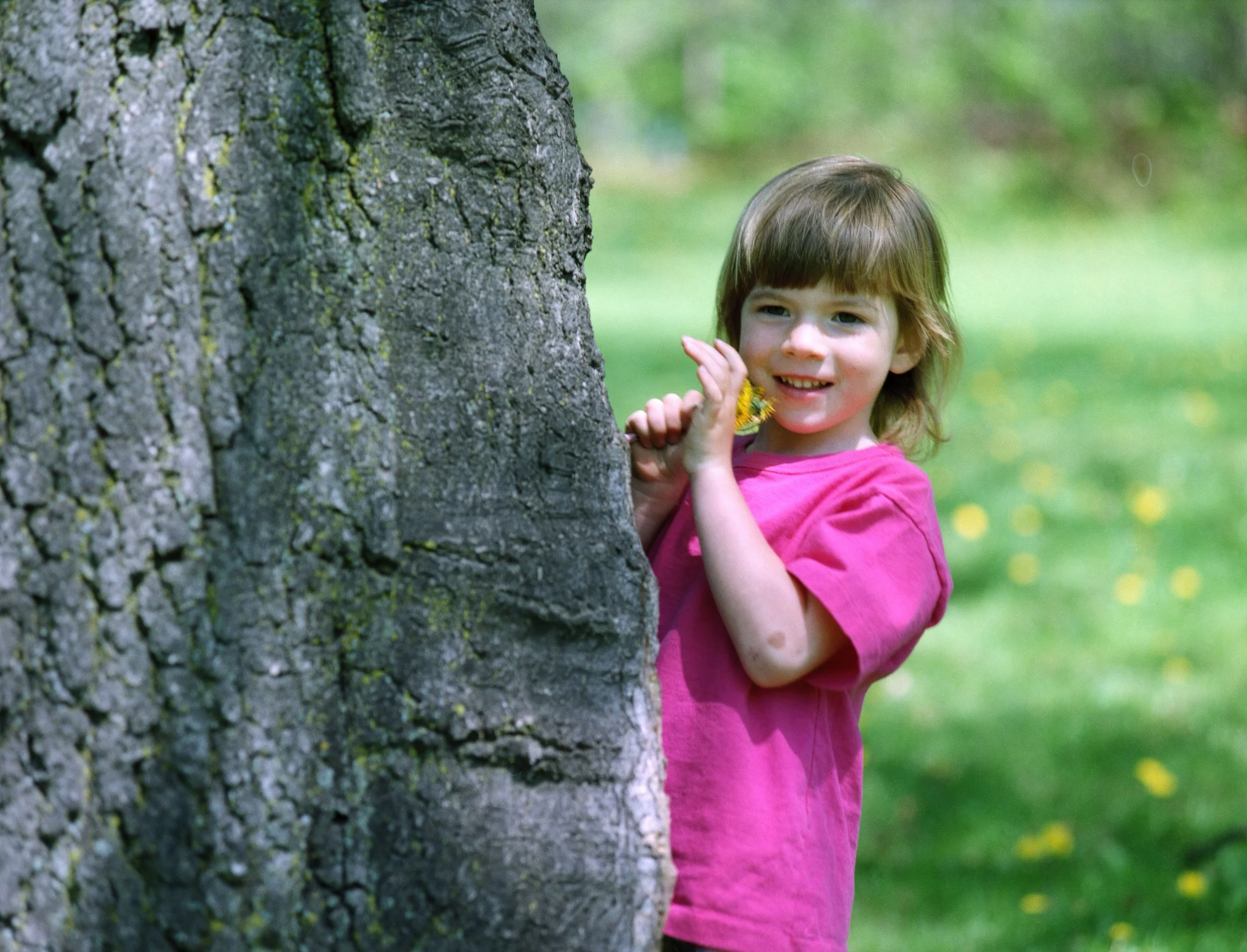 Stories Trees Tell with Your Child