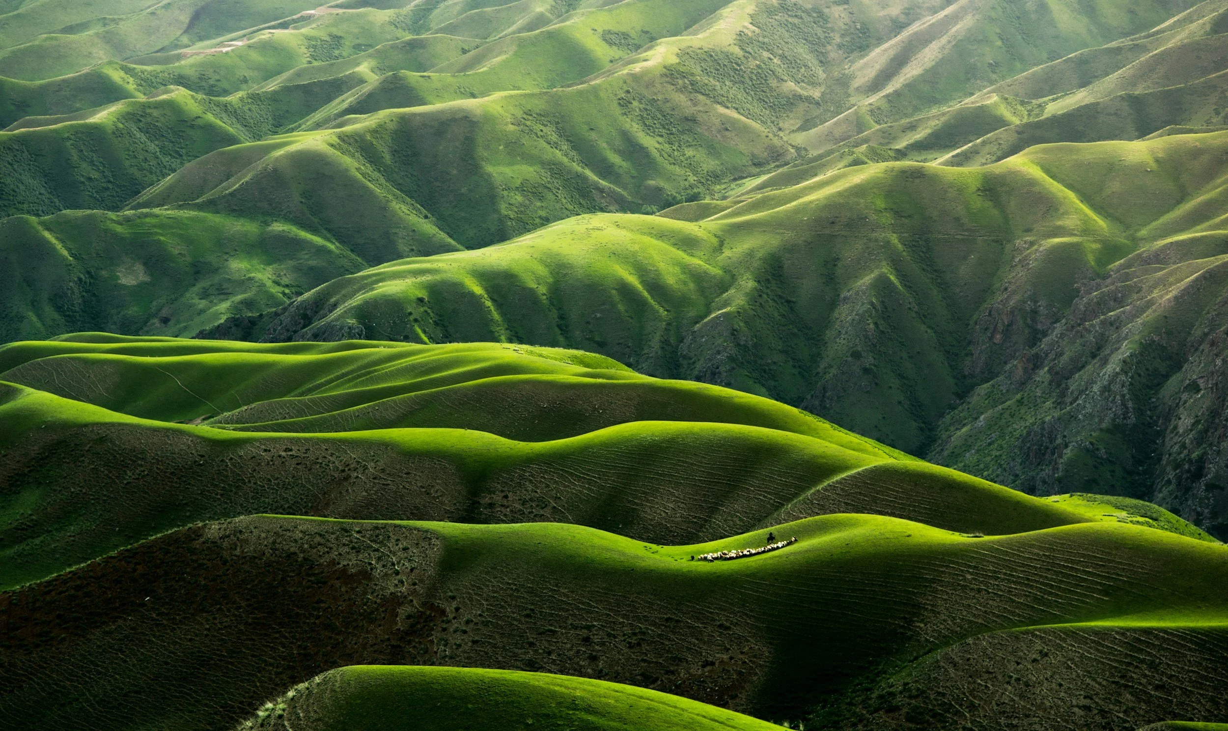 Green rolling hills stretching into the distance with lush grass and small patches of trees, under a cloudy sky.