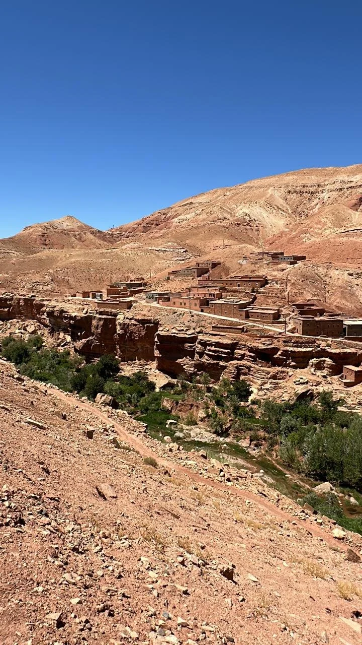 WhatsApp Image 2024-09-07 at 11.13.49 (1).jpeg