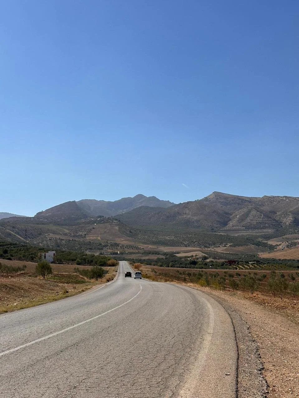 WhatsApp Image 2024-09-07 at 11.13.49 (2).jpeg