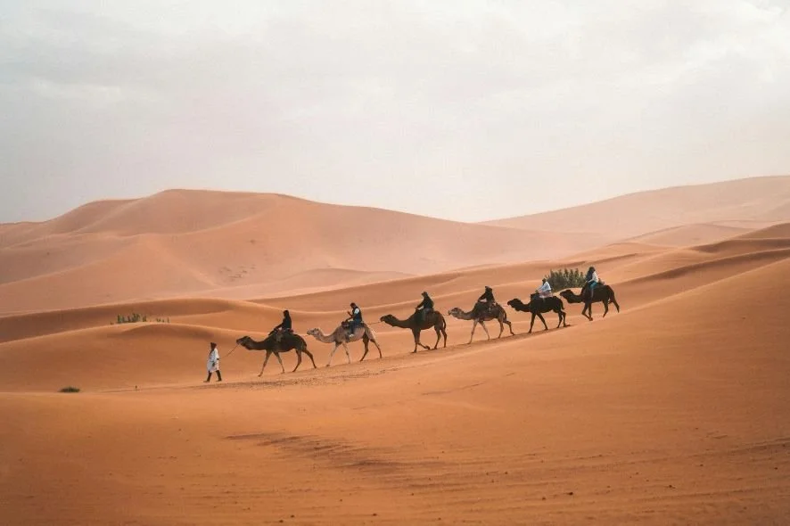 A group of six people riding camels through a desert with sand dunes, guided by a person walking alongside.
