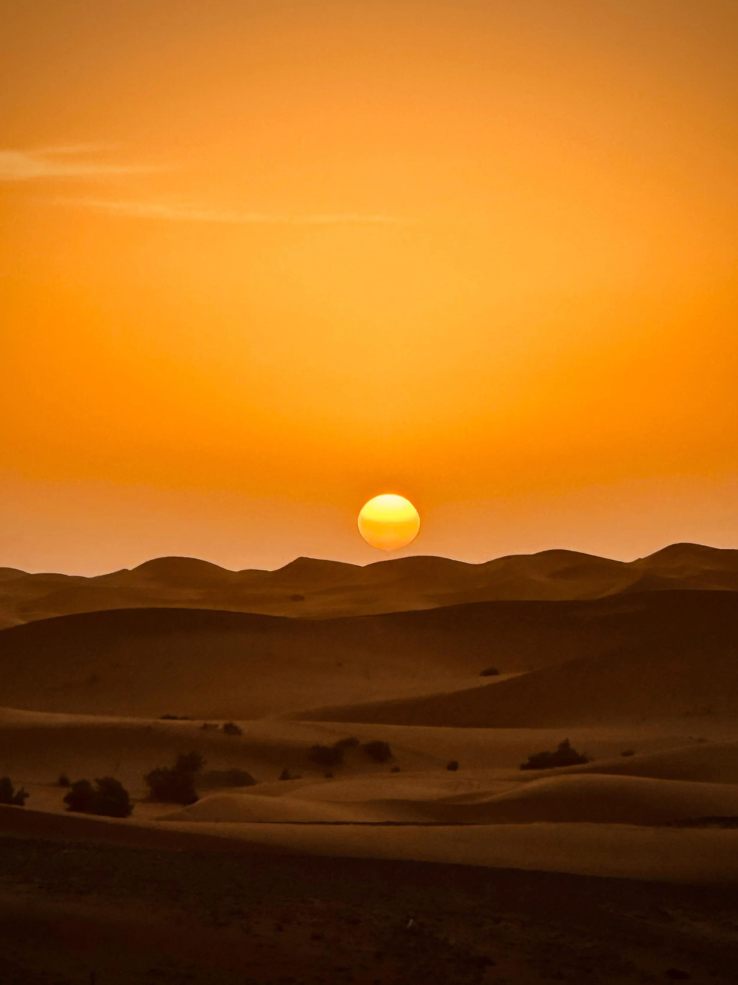 WhatsApp Image 2025-11-18 at 12.19.07 (1).jpeg