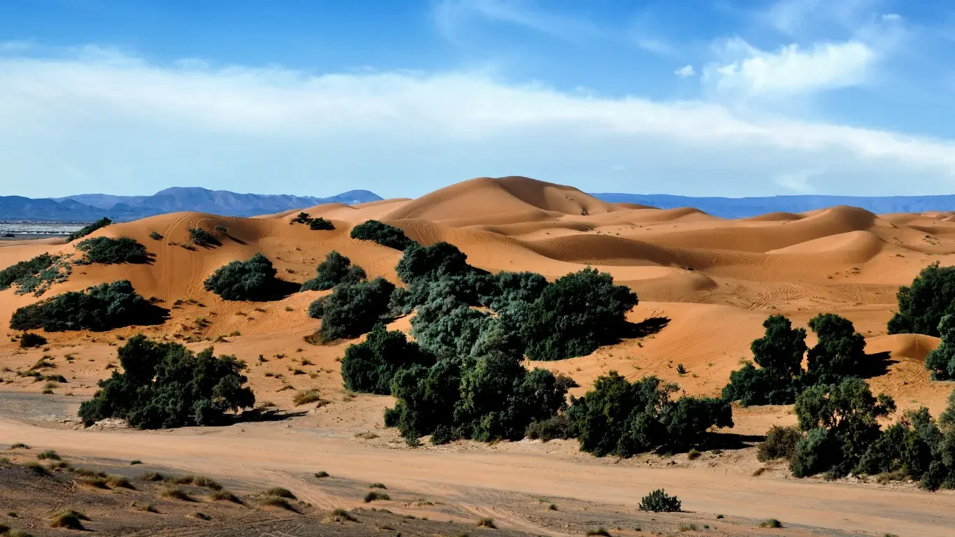 Sand dunes with green bushes in a desert landscape, with mountains in the background under a partly cloudy sky.