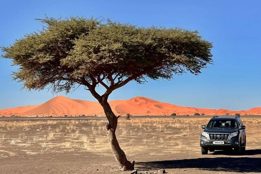 A lone tree in a desert landscape with sand dunes in the background, a black SUV parked nearby, under a clear blue sky.