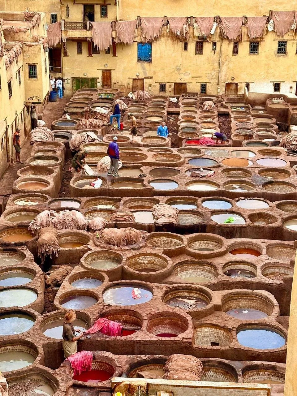 WhatsApp Image 2024-09-07 at 11.13.49 (4).jpeg