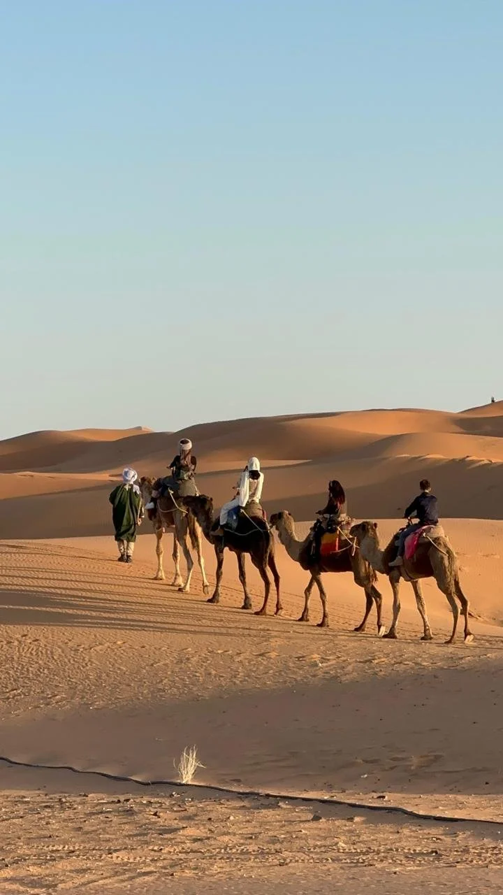 WhatsApp Image 2026-02-25 at 18.21.10 (1).jpeg