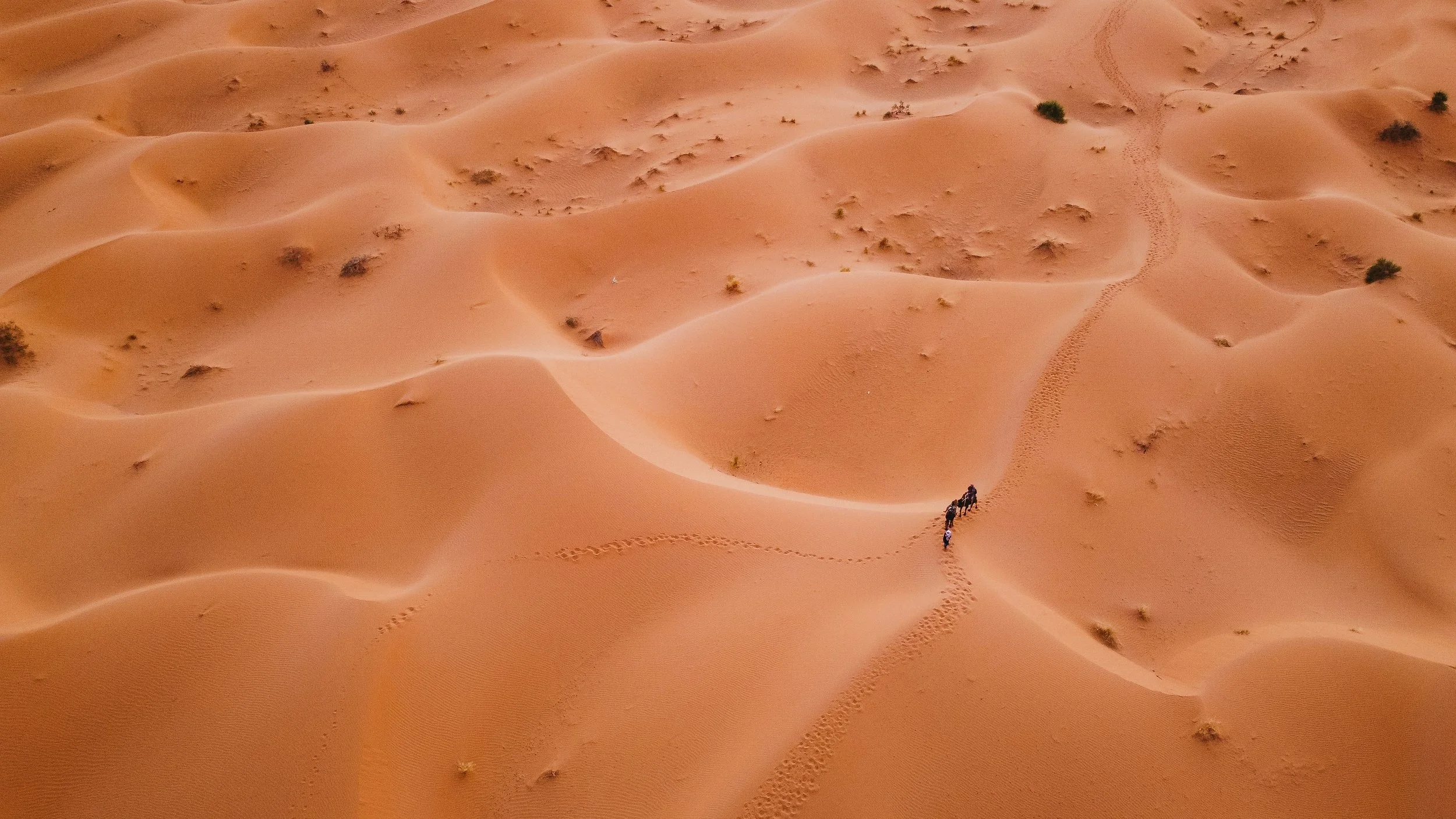 Aerial view of a desert with sand dunes and sparse vegetation, showing a group of five people riding camels along a trail.