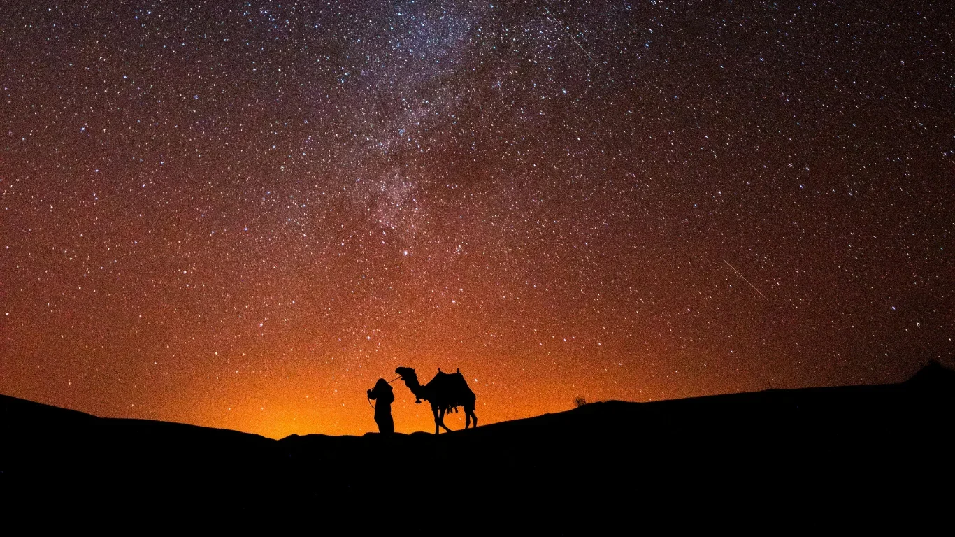 Silhouette of a person with a camel under a starry night sky, with the Milky Way galaxy visible.