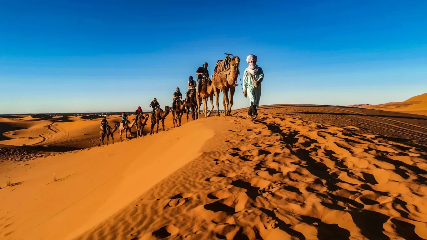 A group of people riding camels across the desert with a clear blue sky above.