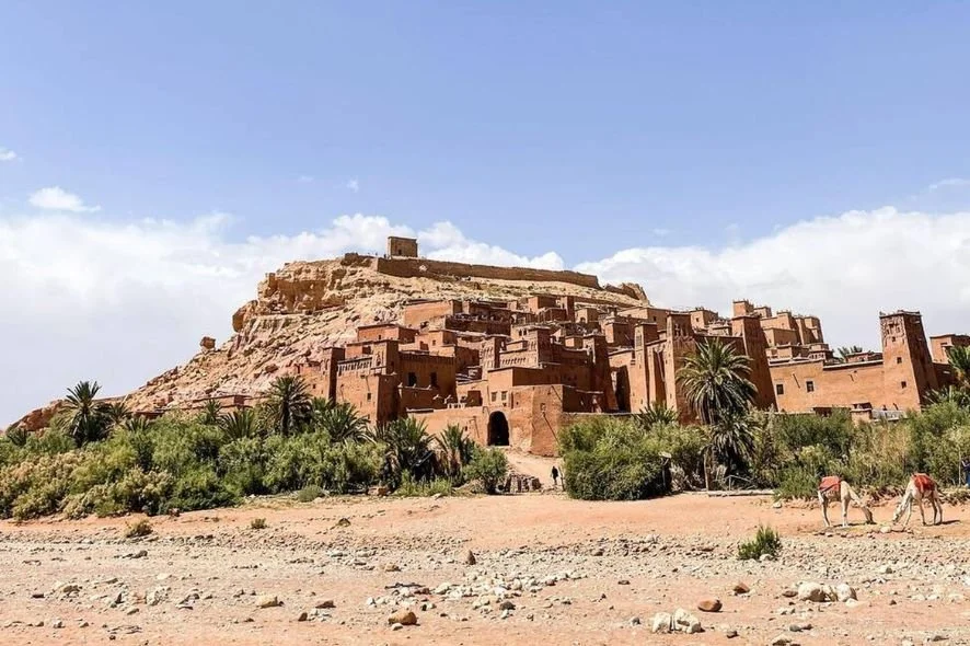 A desert landscape with a large, multi-level mud-brick fortress on a hilltop, surrounded by green palm trees and sparse shrubs, with a clear blue sky in the background.