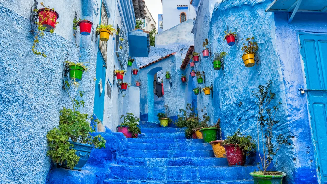 Colorful alley with blue painted walls and steps, decorated with various potted plants and hanging flower pots in bright colors.