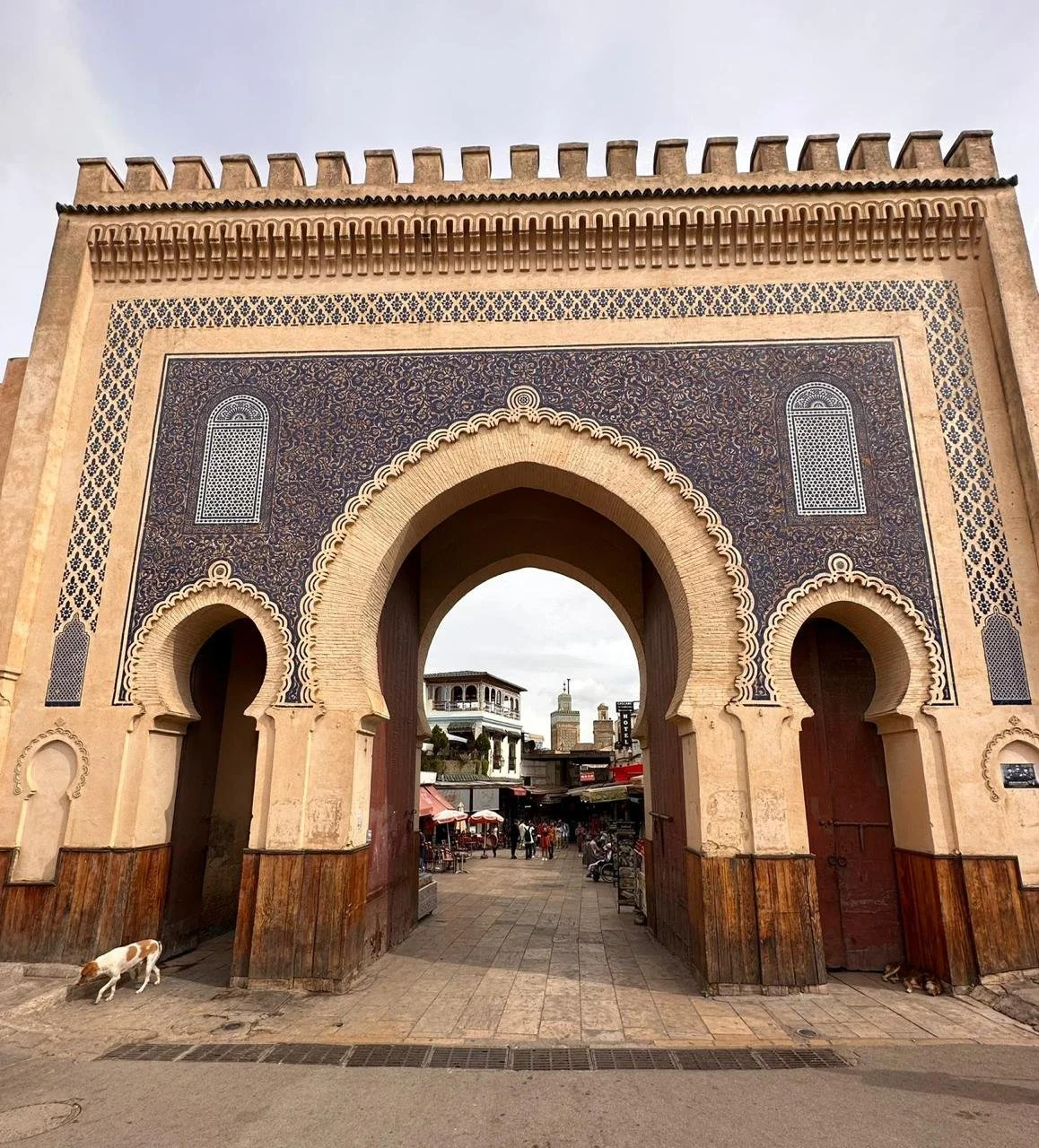 WhatsApp Image 2024-09-07 at 11.13.49 (3).jpeg