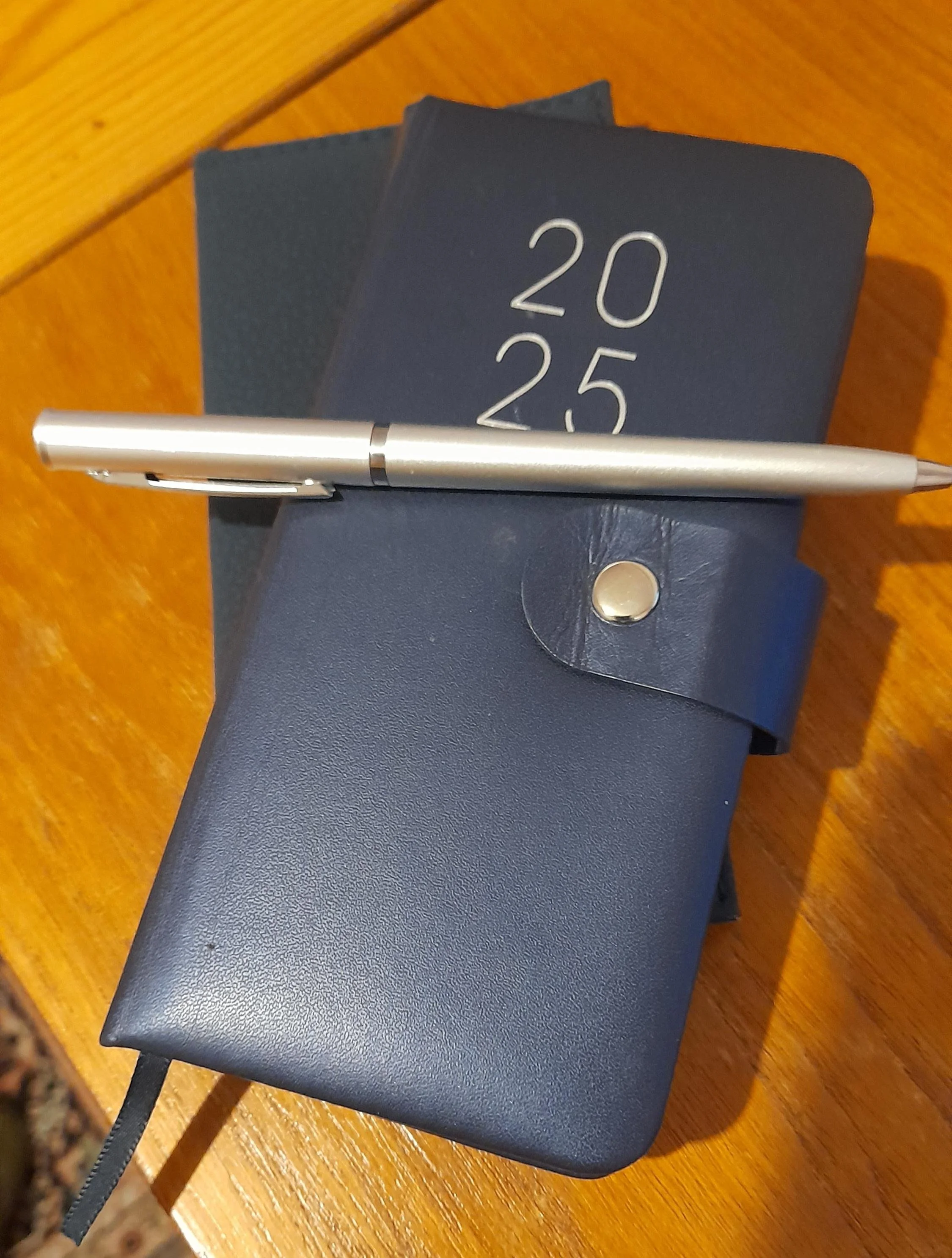 My Writing Year 2025