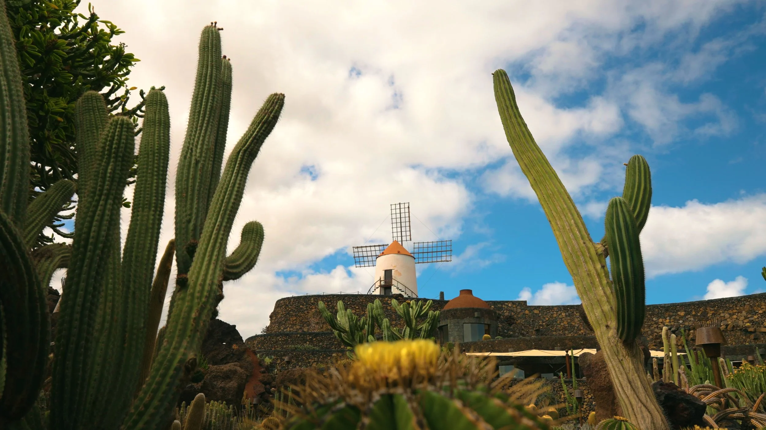 CACT_3_Horizontal.00_00_03_45.Imagen fija002.jpg