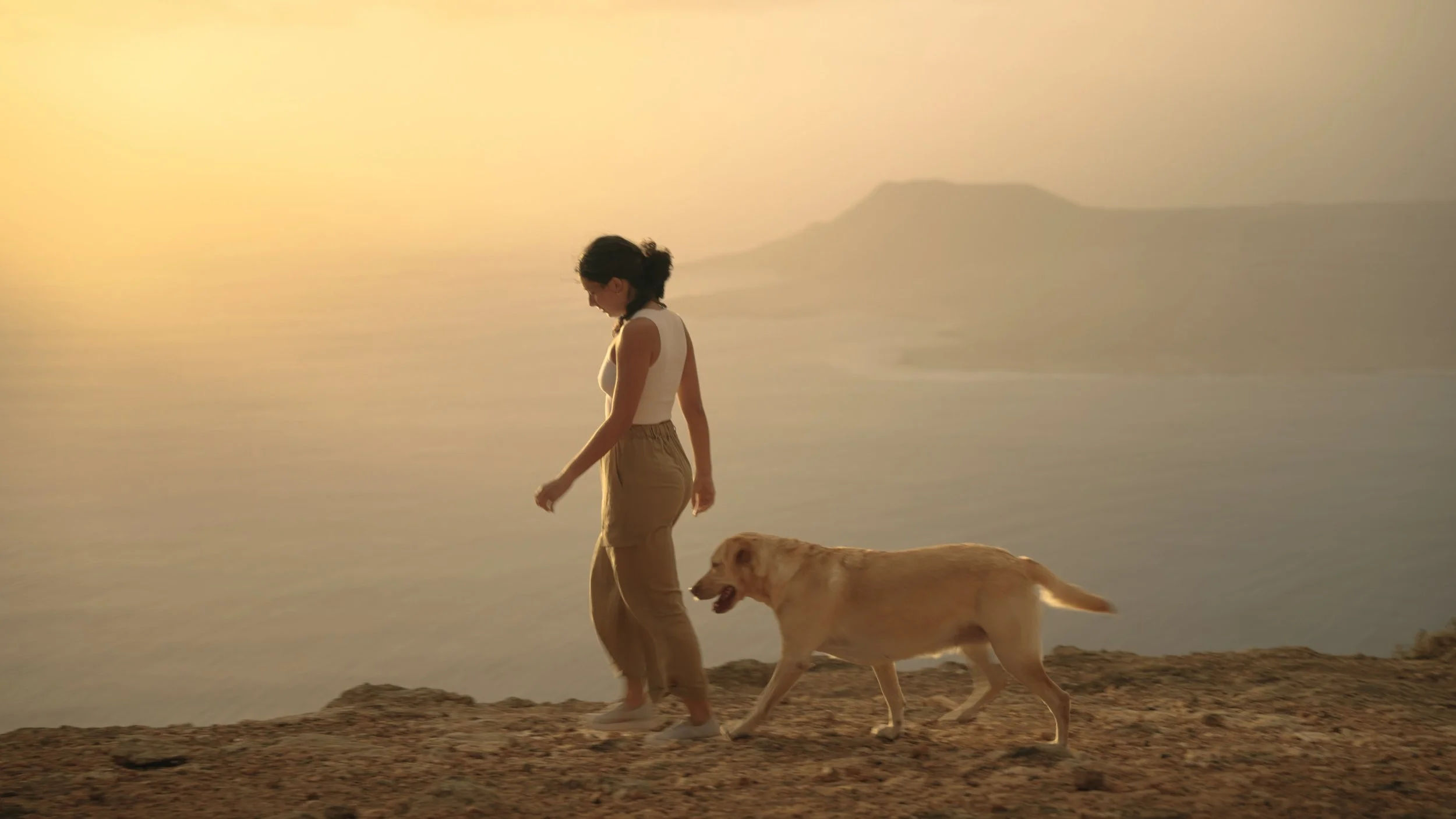 Oliver Michael - That Sound.00_00_25_23.Imagen fija005.jpg