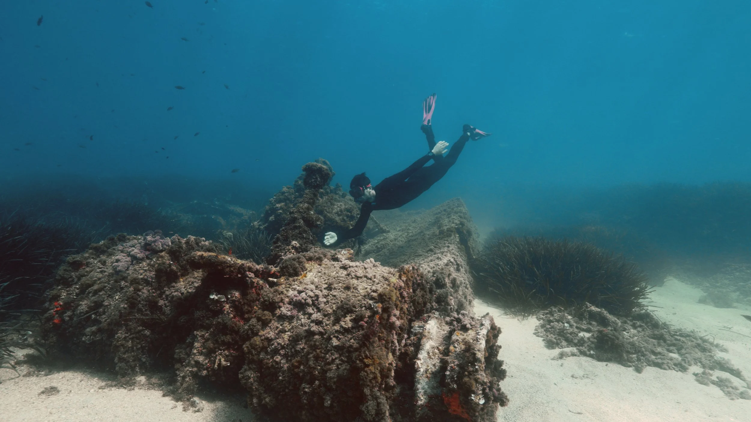 FJGL20240419_3261.00_00_02_31.Imagen fija010.jpg