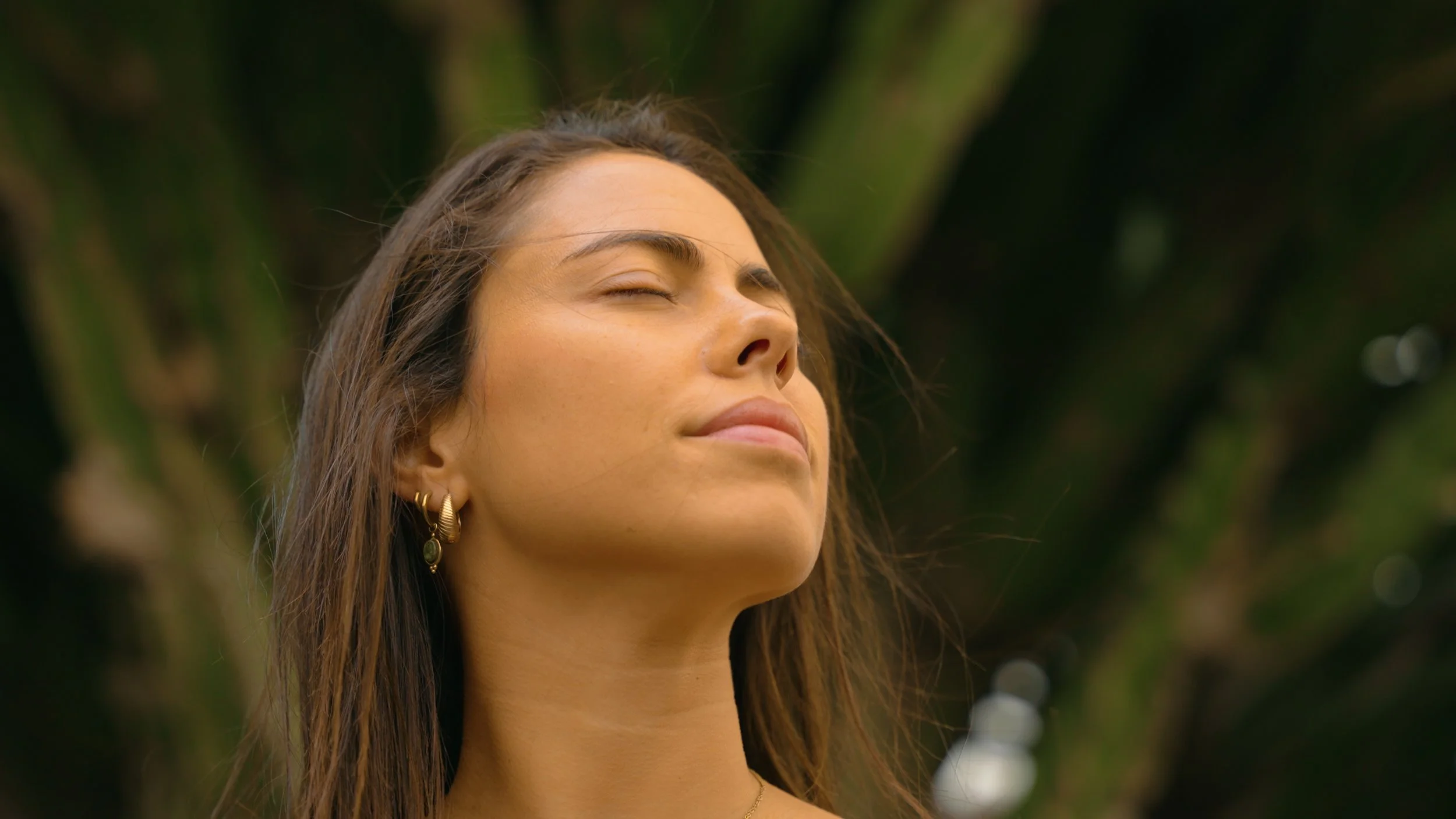 CACT_3_Horizontal.00_00_07_26.Imagen fija004.jpg