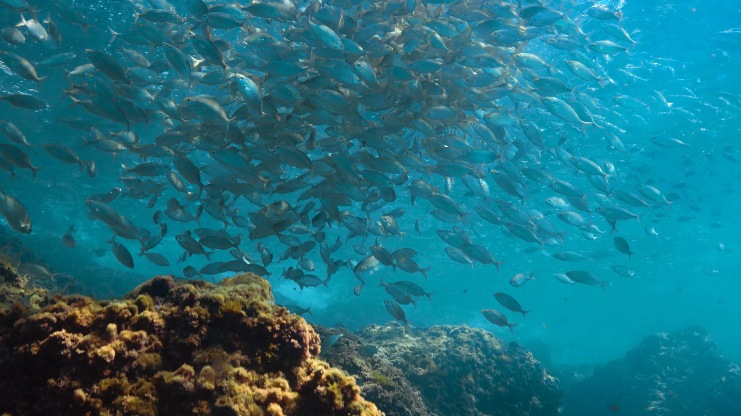 FJGL20240419_3261.00_00_11_11.Imagen fija007.jpg