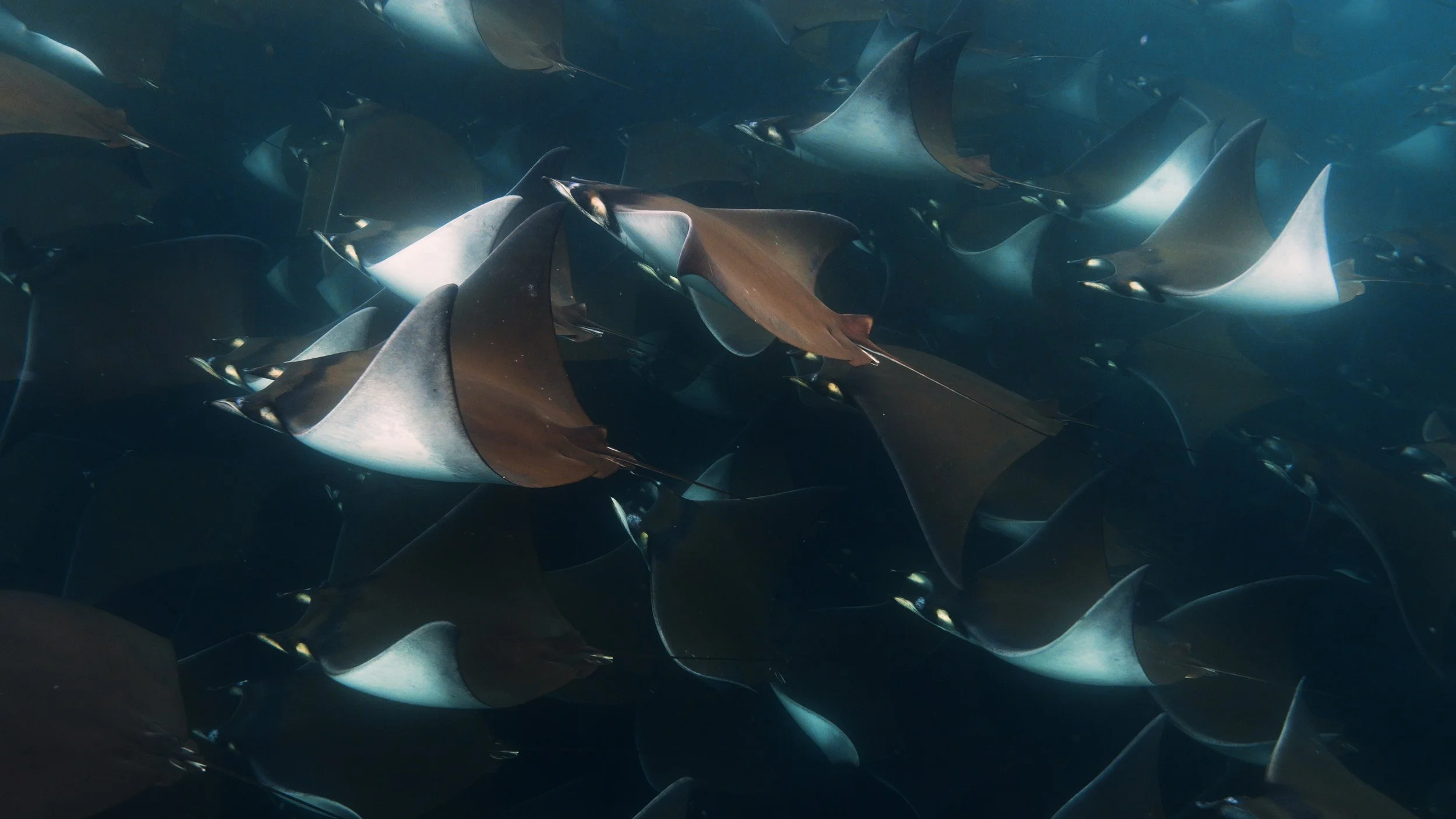 Aero [OXrhSyhRWXE].00_00_15_06.Imagen fija008.jpg