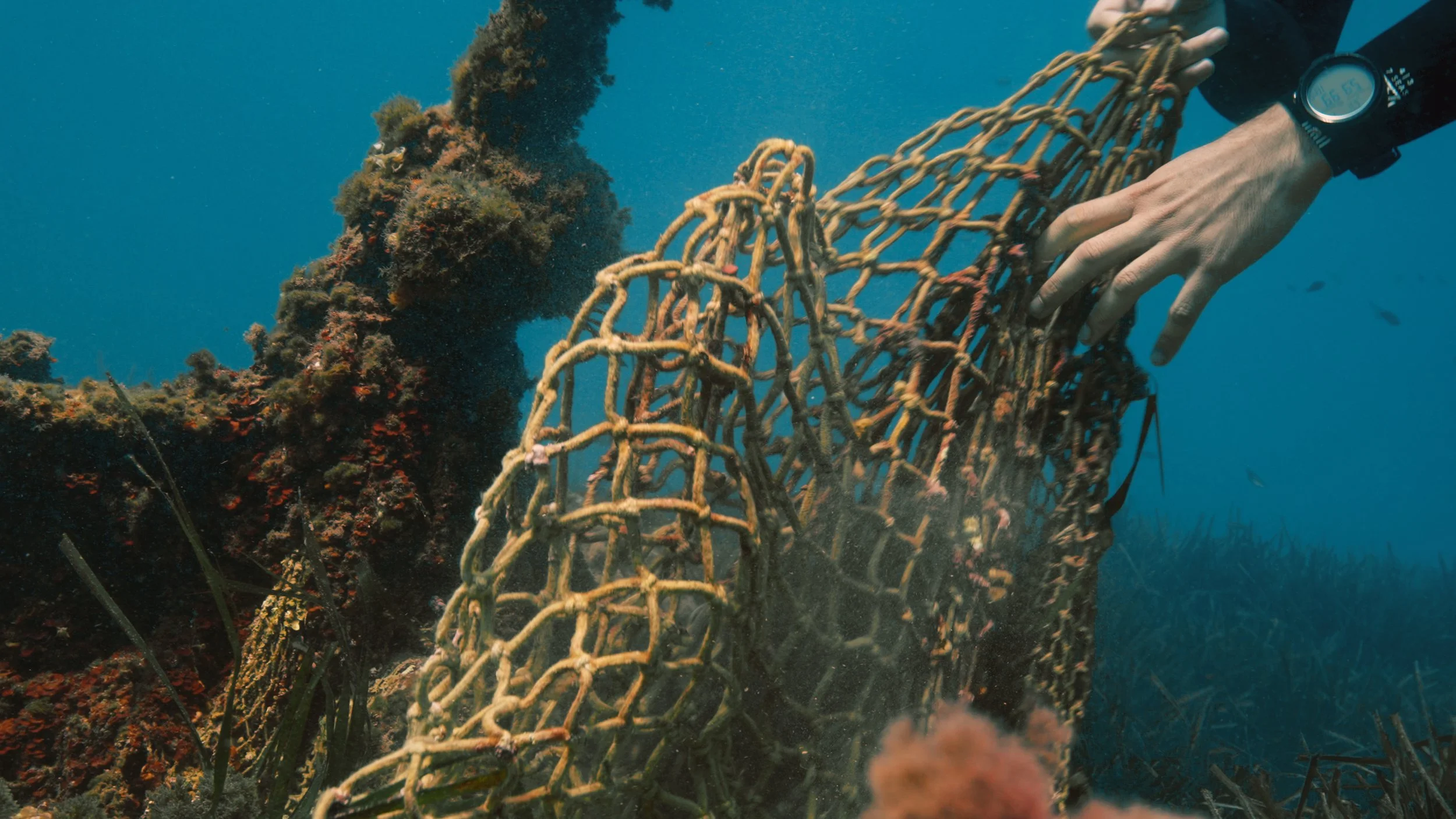 FJGL20240419_3261.00_00_24_40.Imagen fija006.jpg