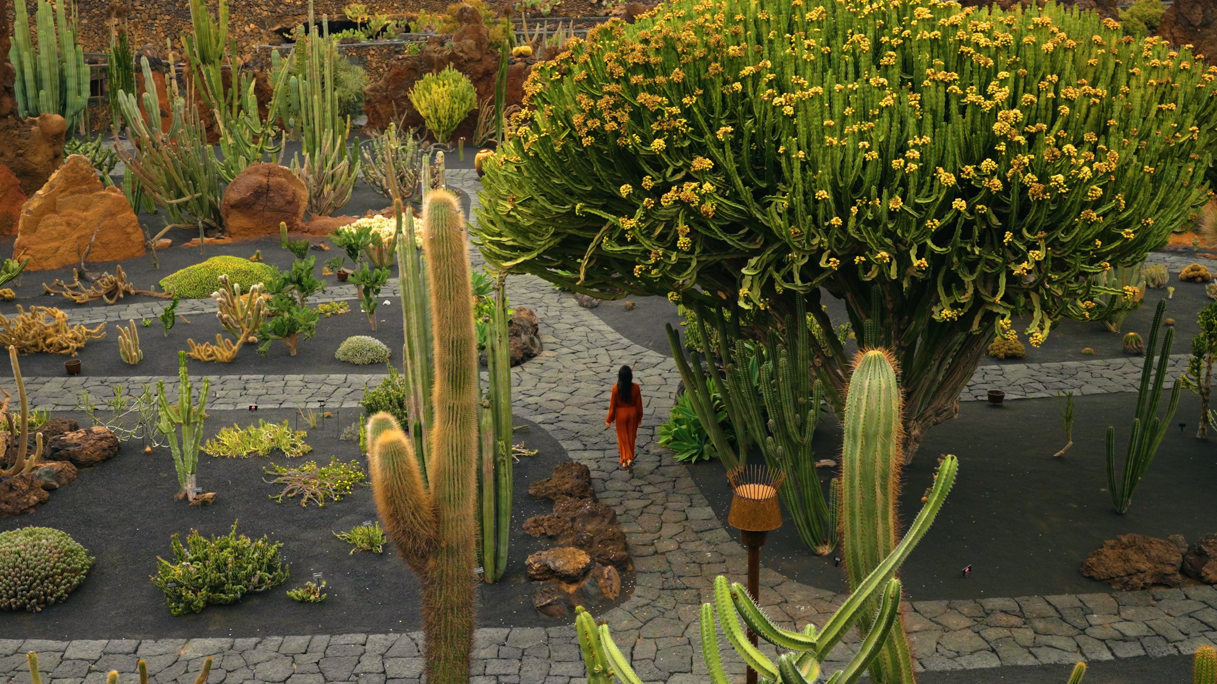 CACT_3_Horizontal.00_00_04_28.Imagen fija003.jpg