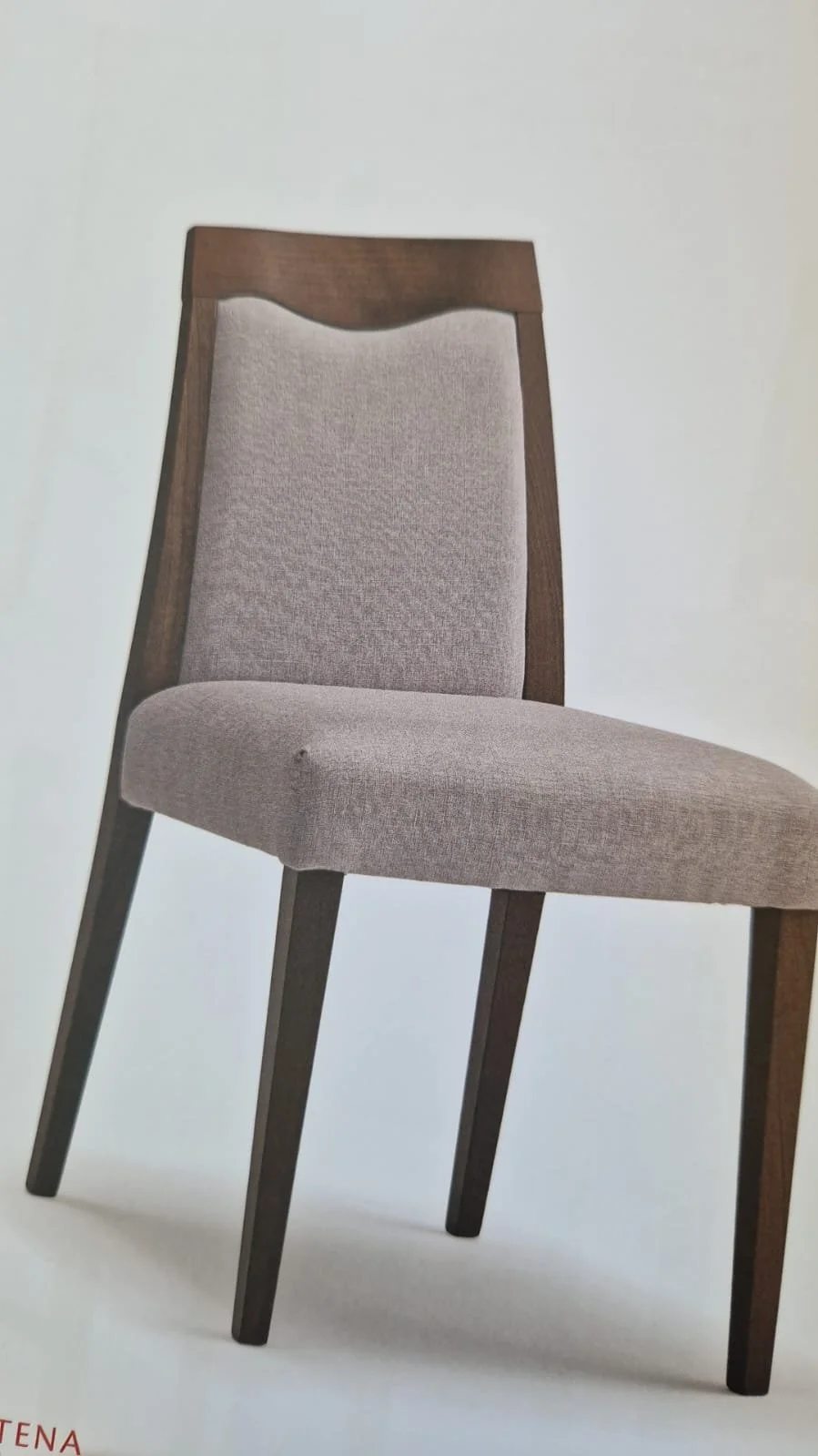 Sedia design completamente imbottita, struttura faggio.jpeg
