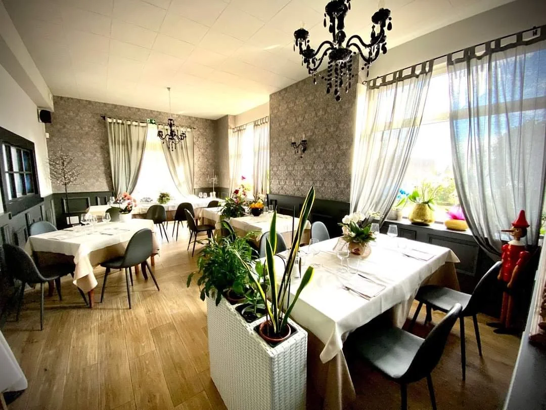 Ristorante MAGNUS di Treviso nostra realizzazione.jpg
