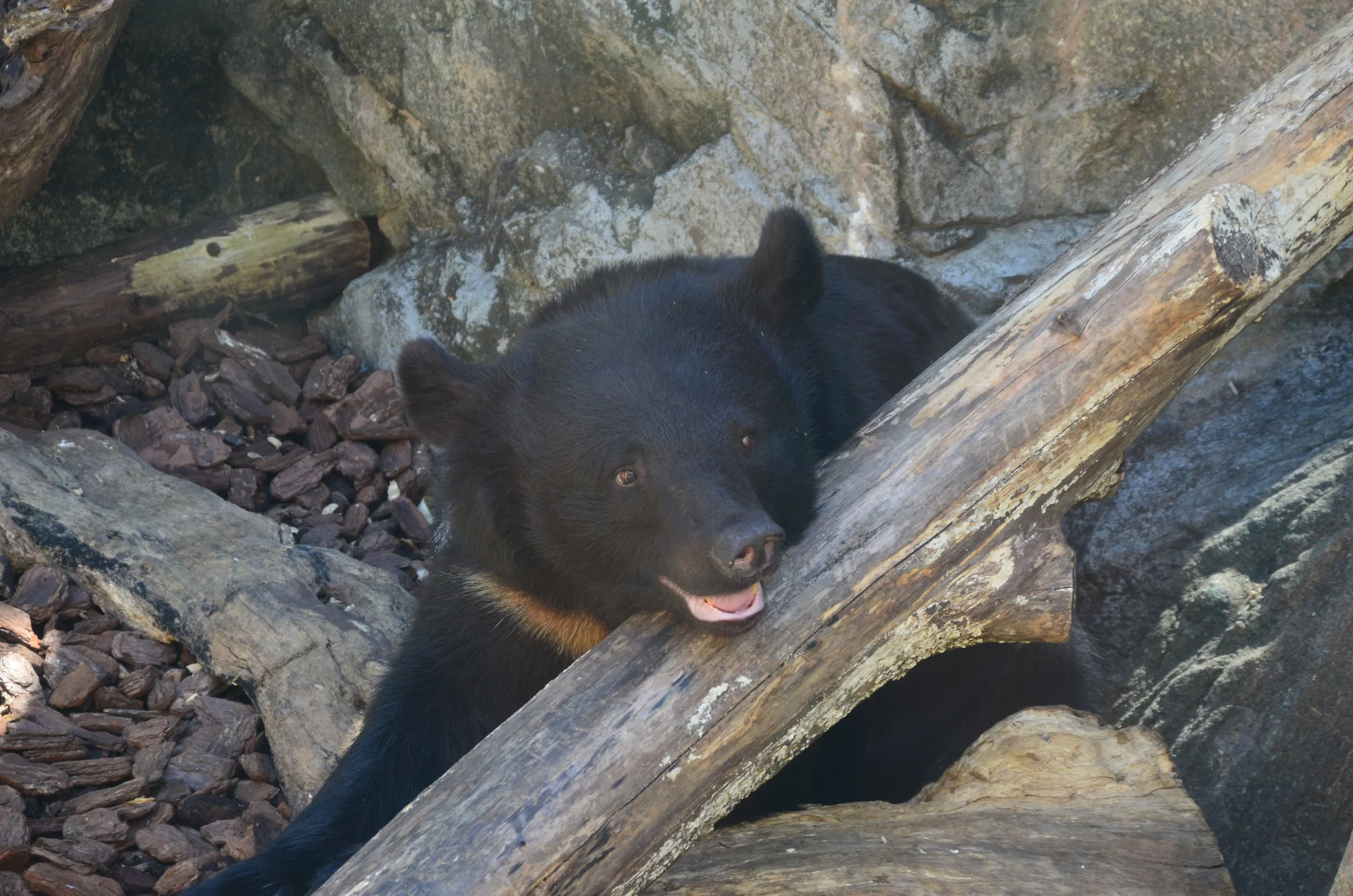 DSC_0139.JPG