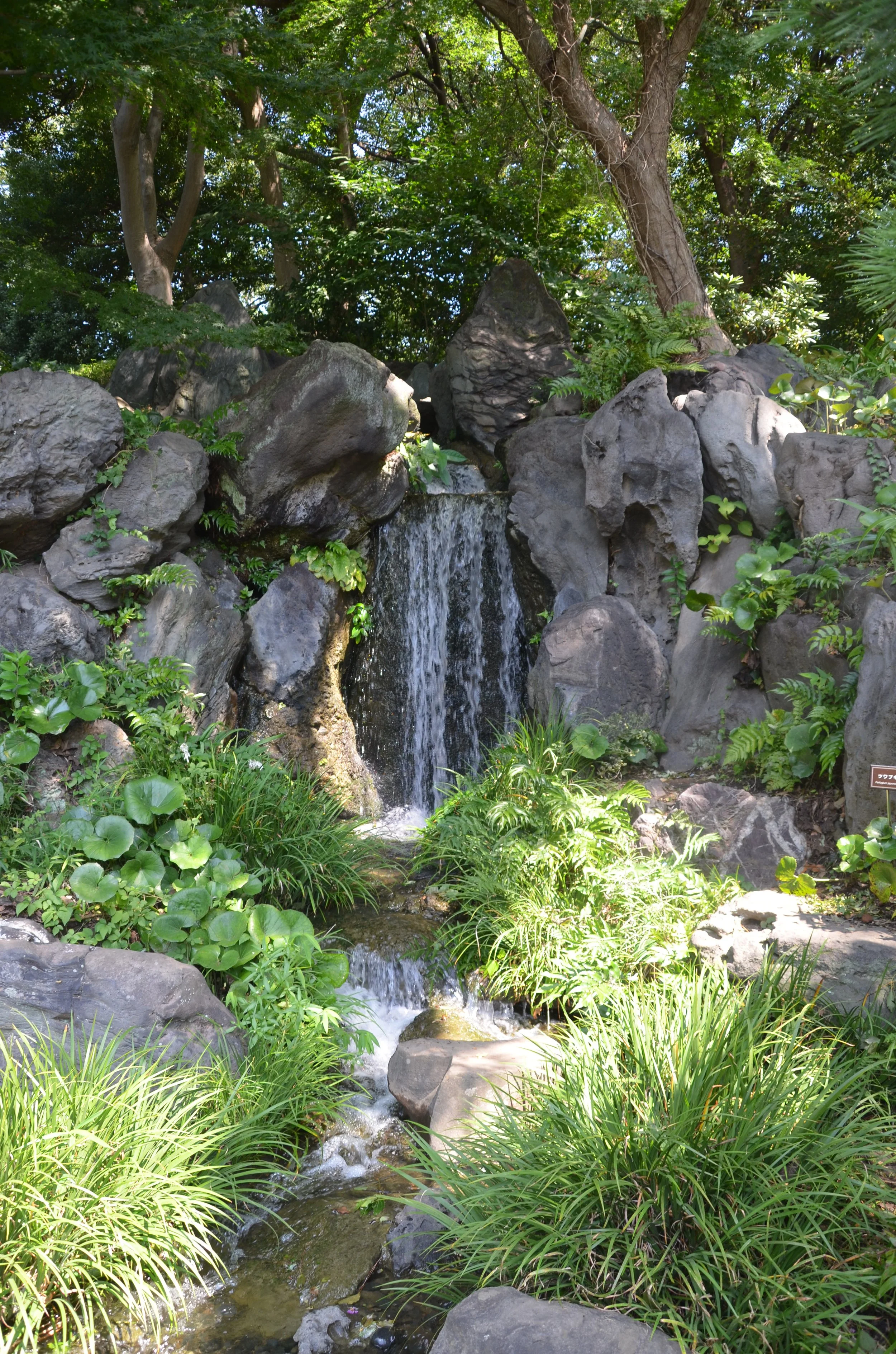 DSC_0304.JPG