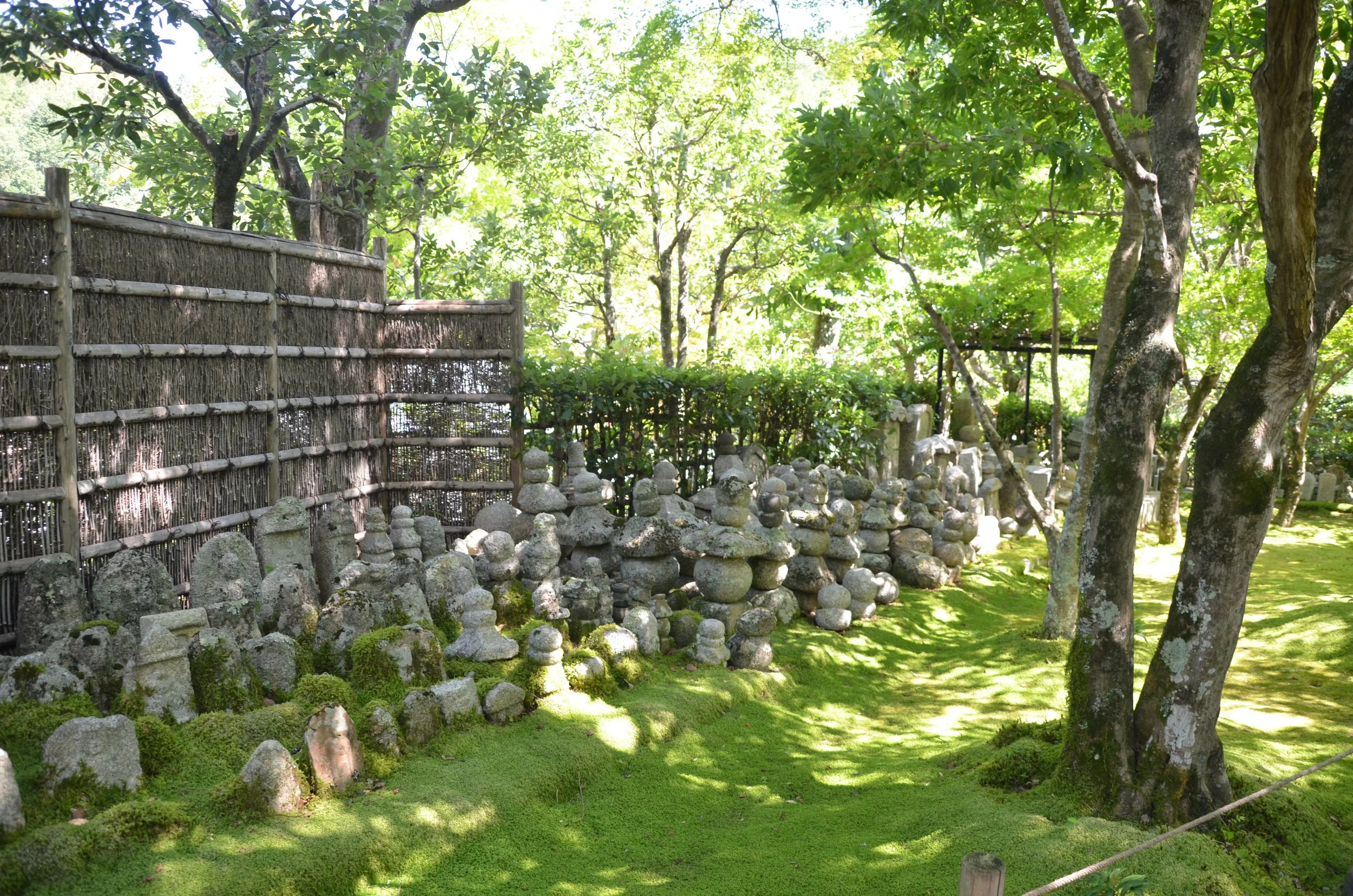 DSC_0083.JPG