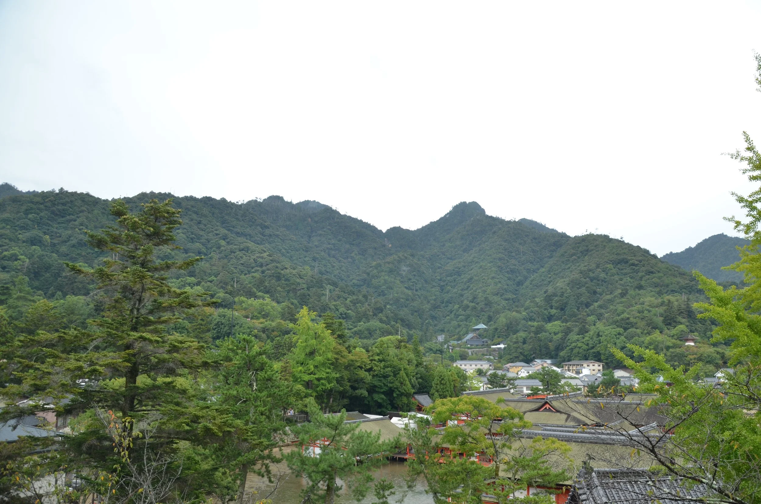 DSC_0088.JPG