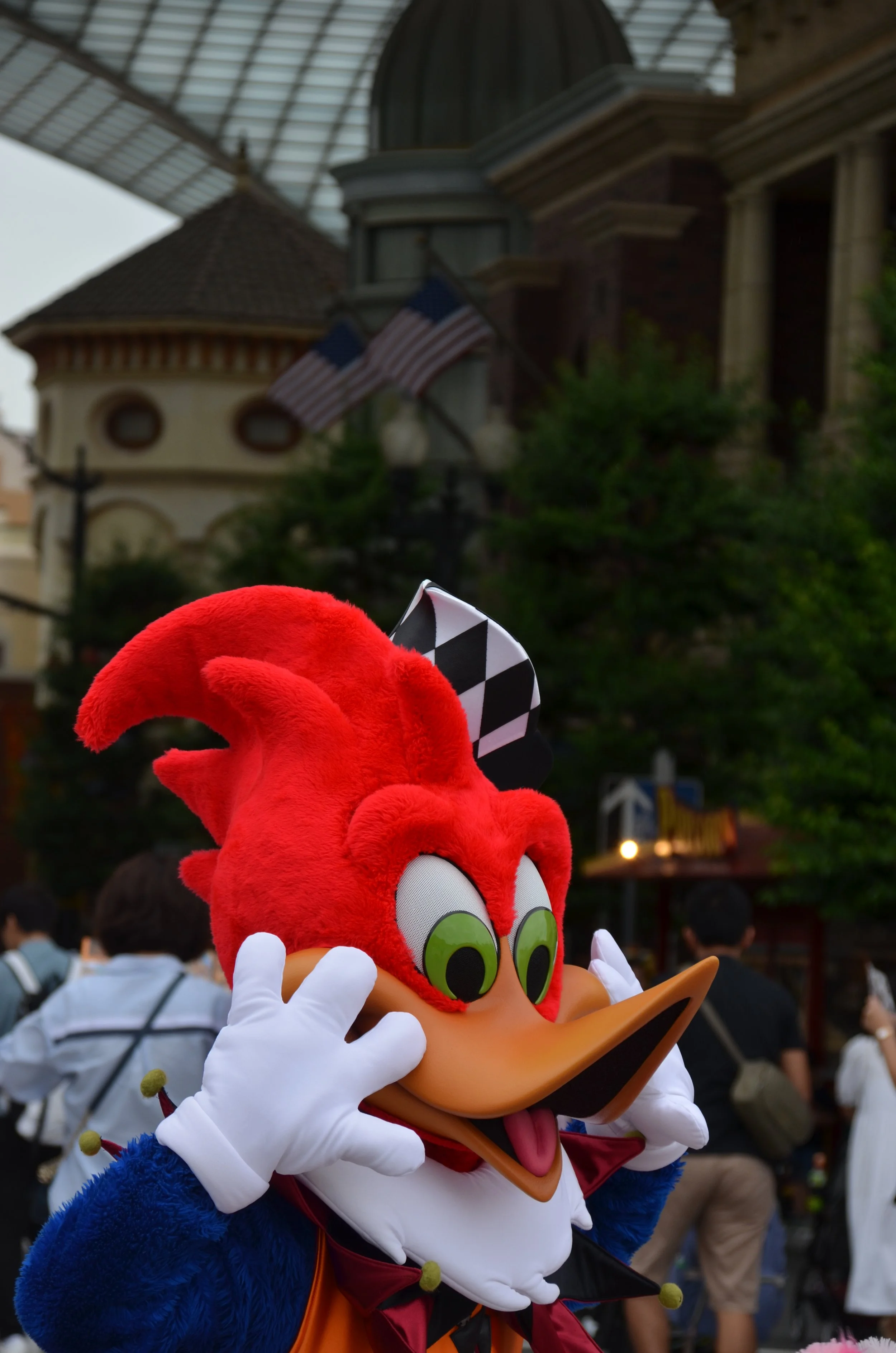 DSC_0115.JPG