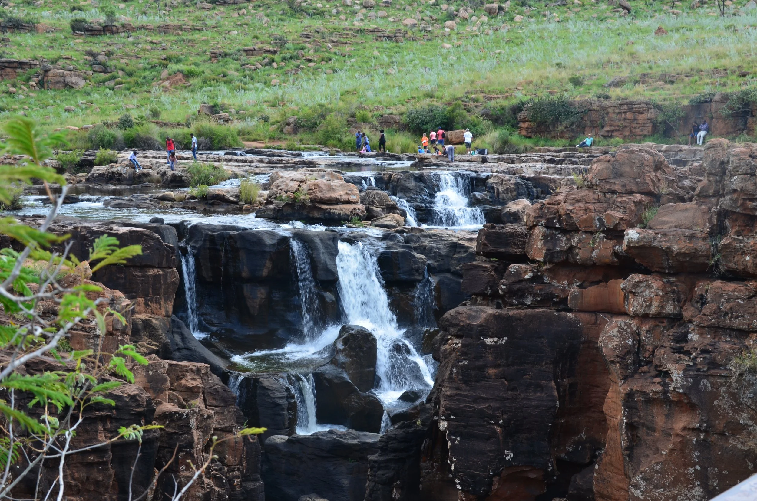 DSC_0316.JPG