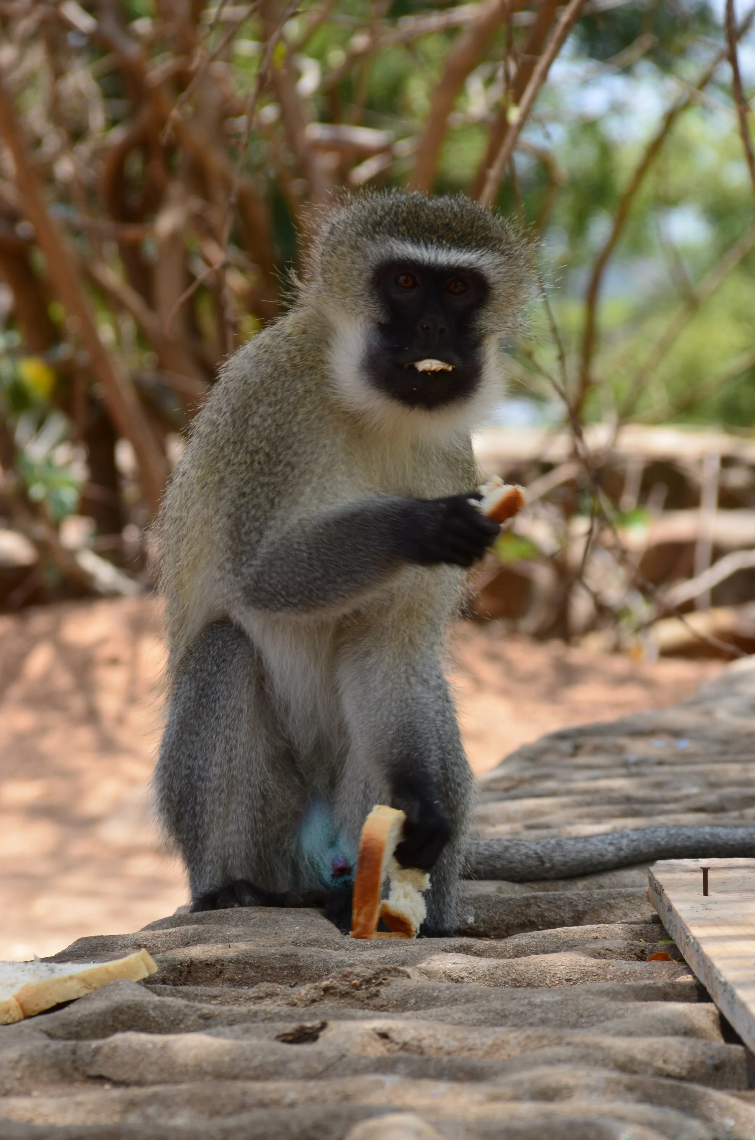 DSC_0471.JPG