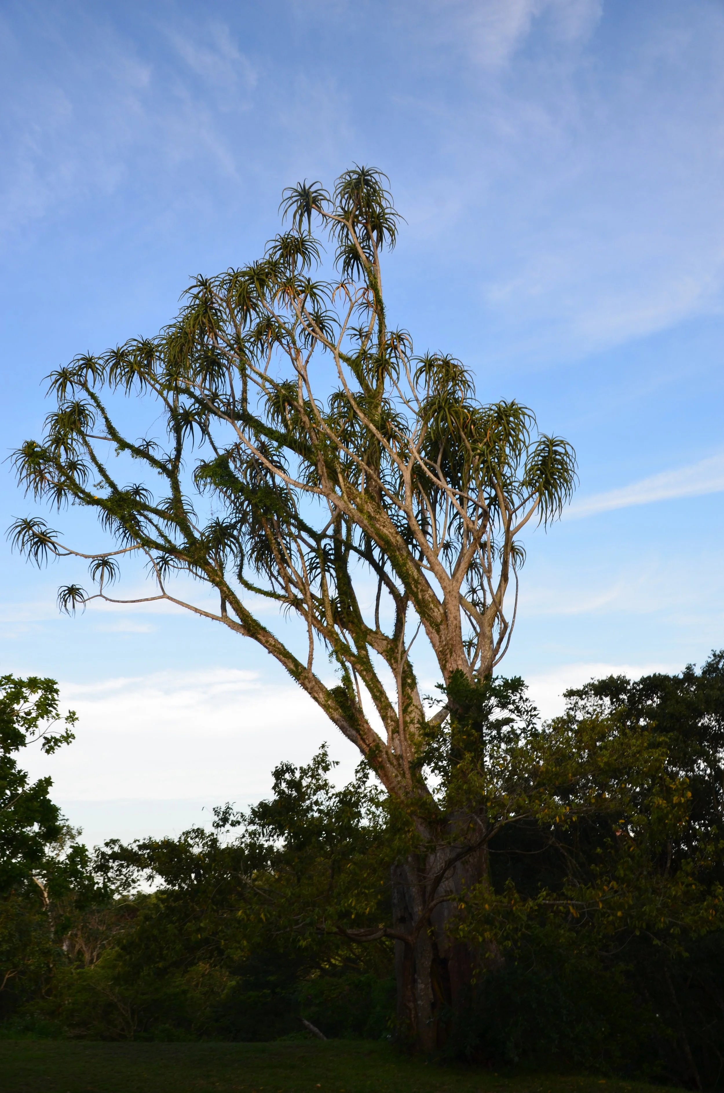 DSC_0251.JPG