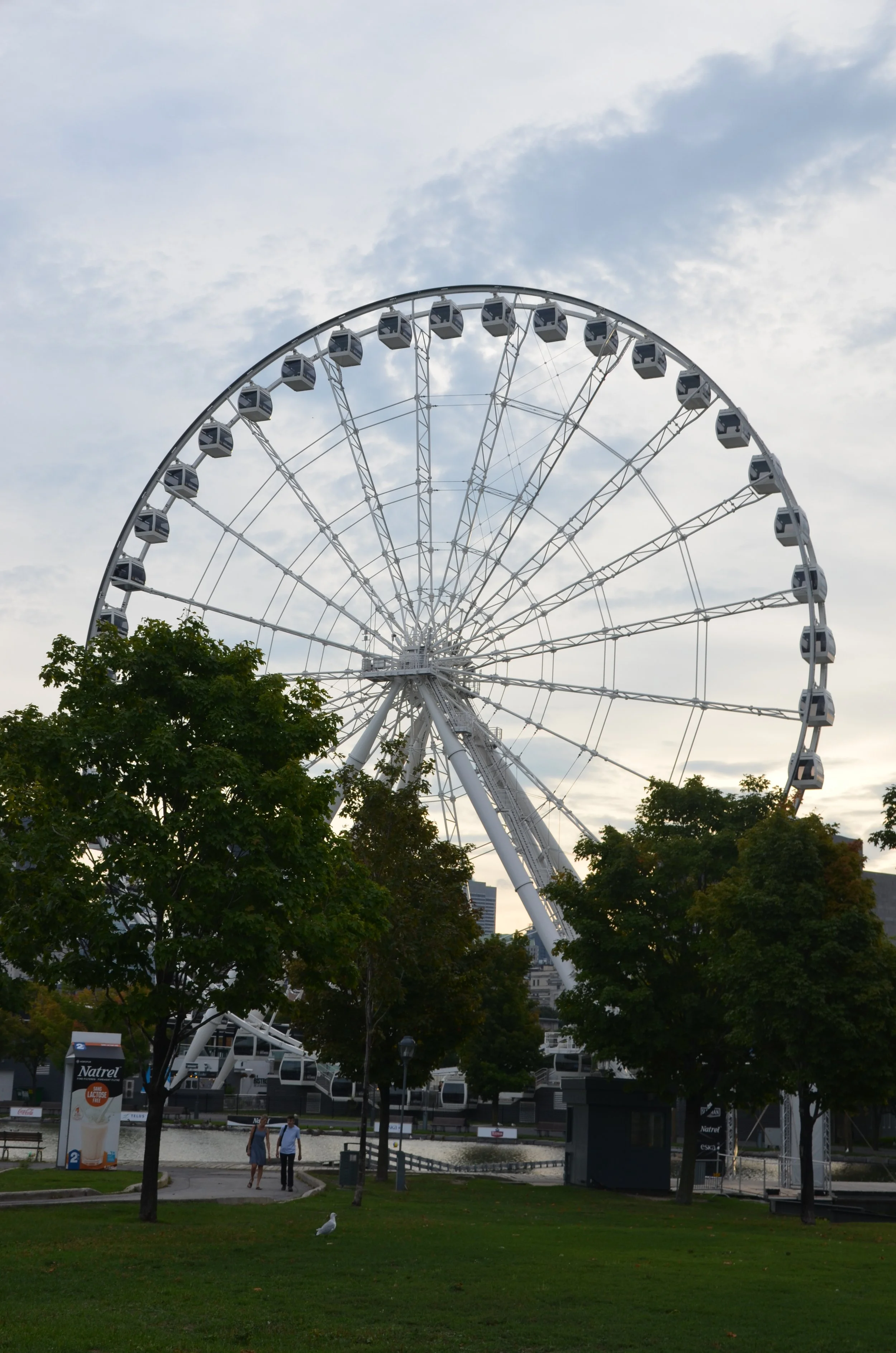 DSC_0687.JPG