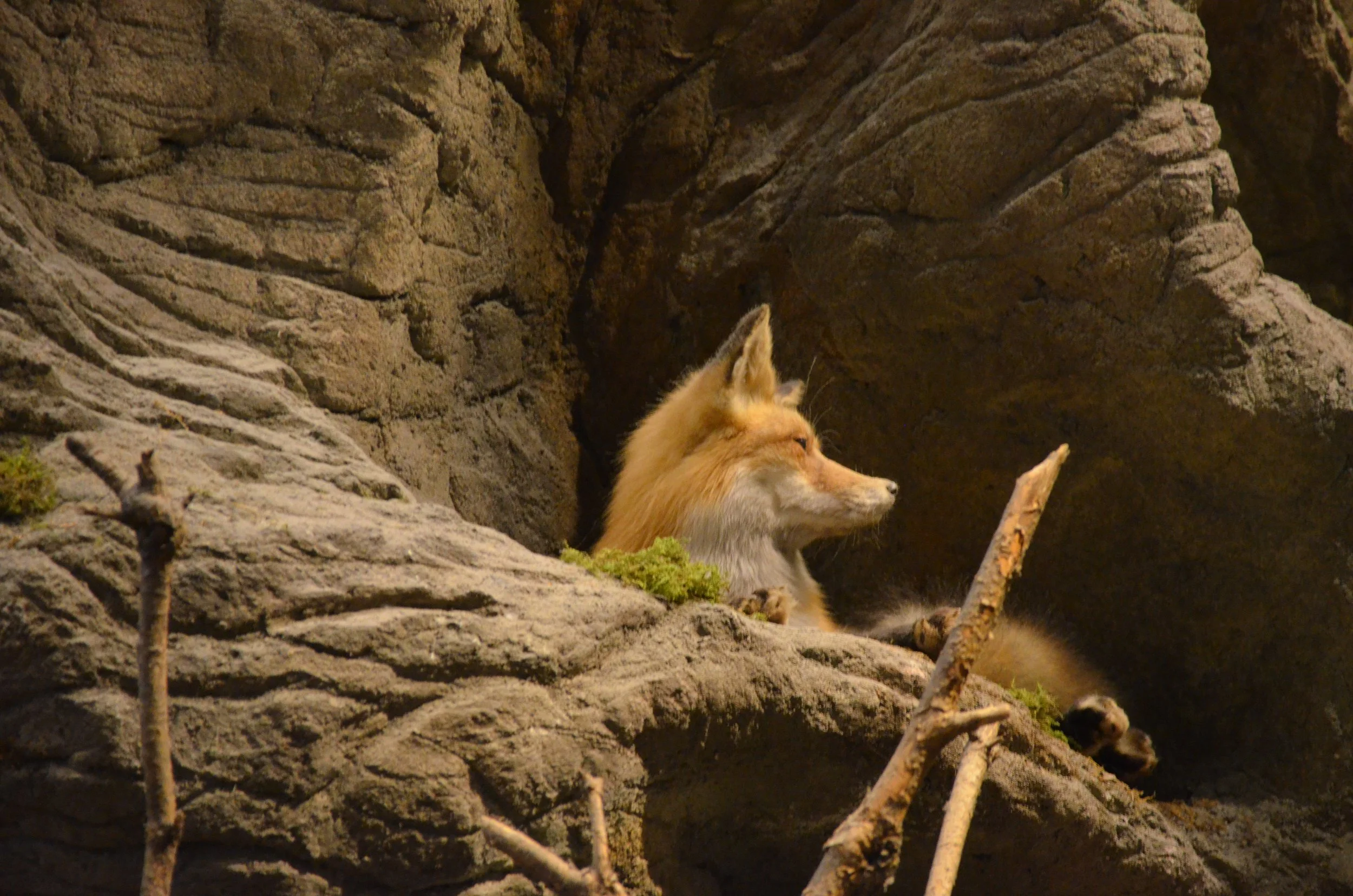 DSC_0129.JPG