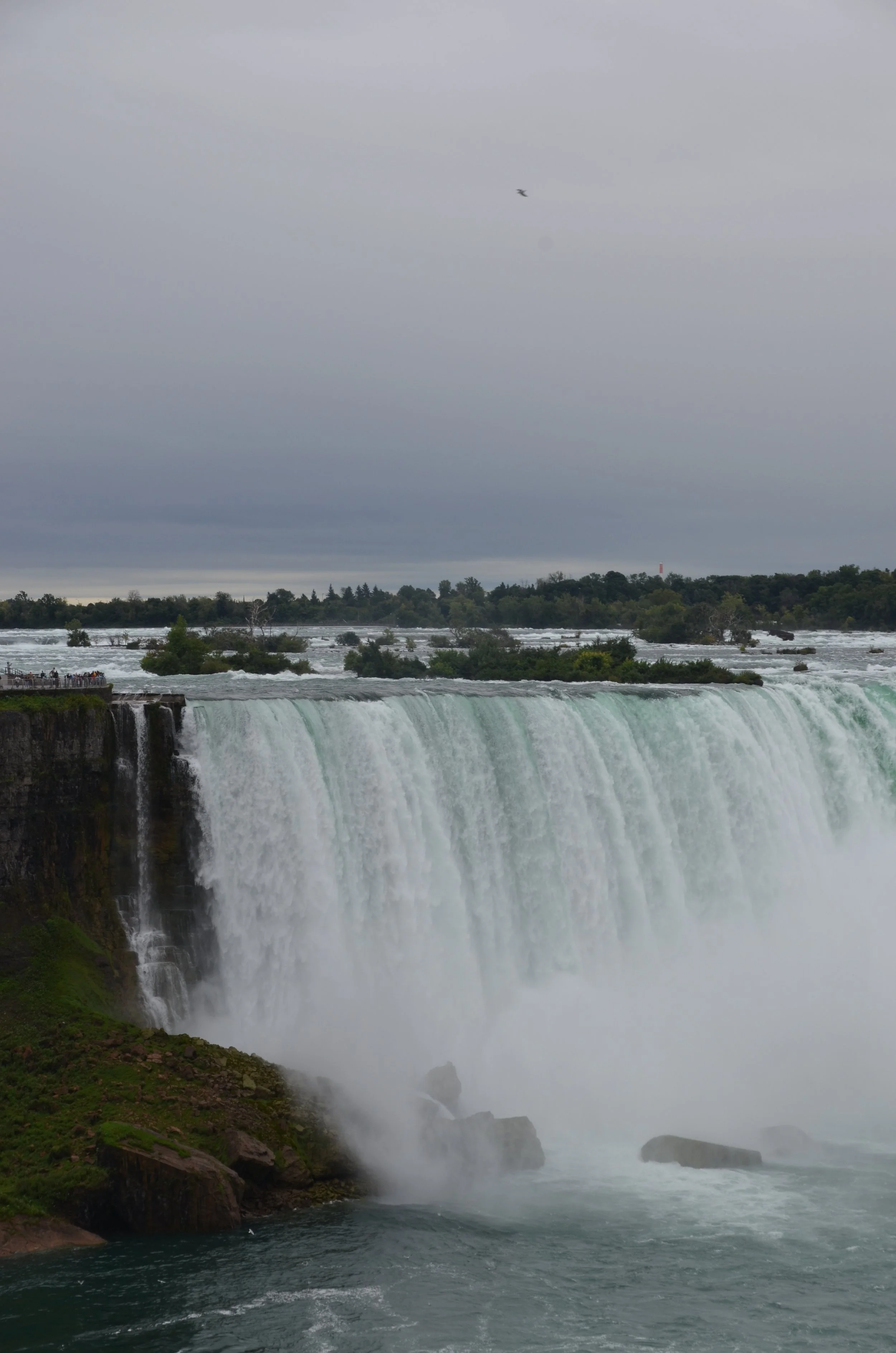 DSC_0091.JPG